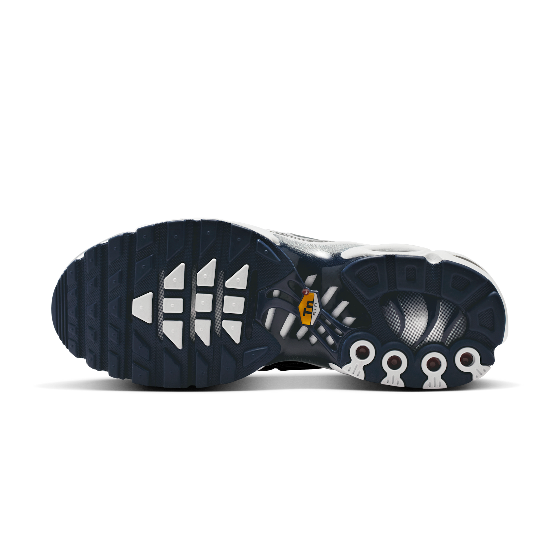 Nike Air Max Plus White Ashen Slate Metallic Silver (Women's)