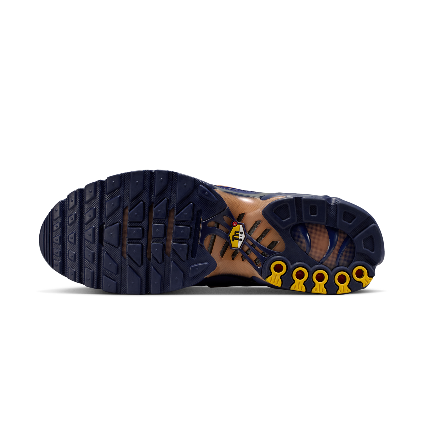 Nike Air Max Plus French Football Federation