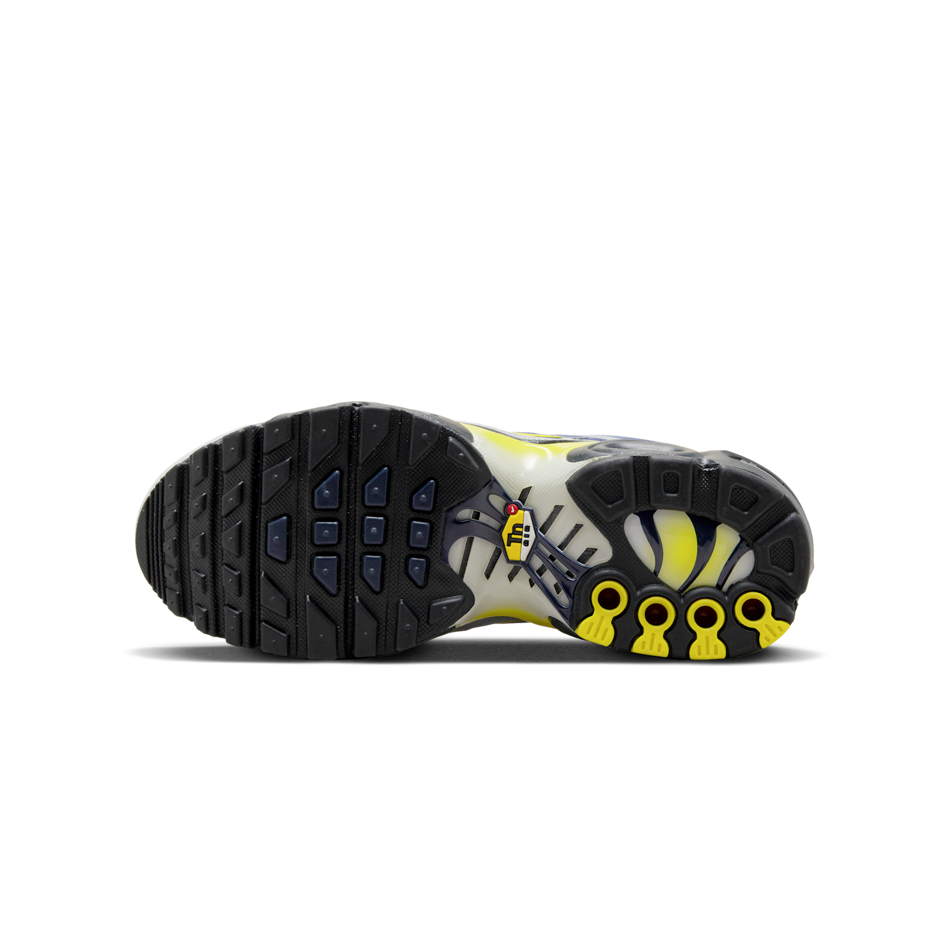 Nike Air Max Plus Obsidian Silver (GS)