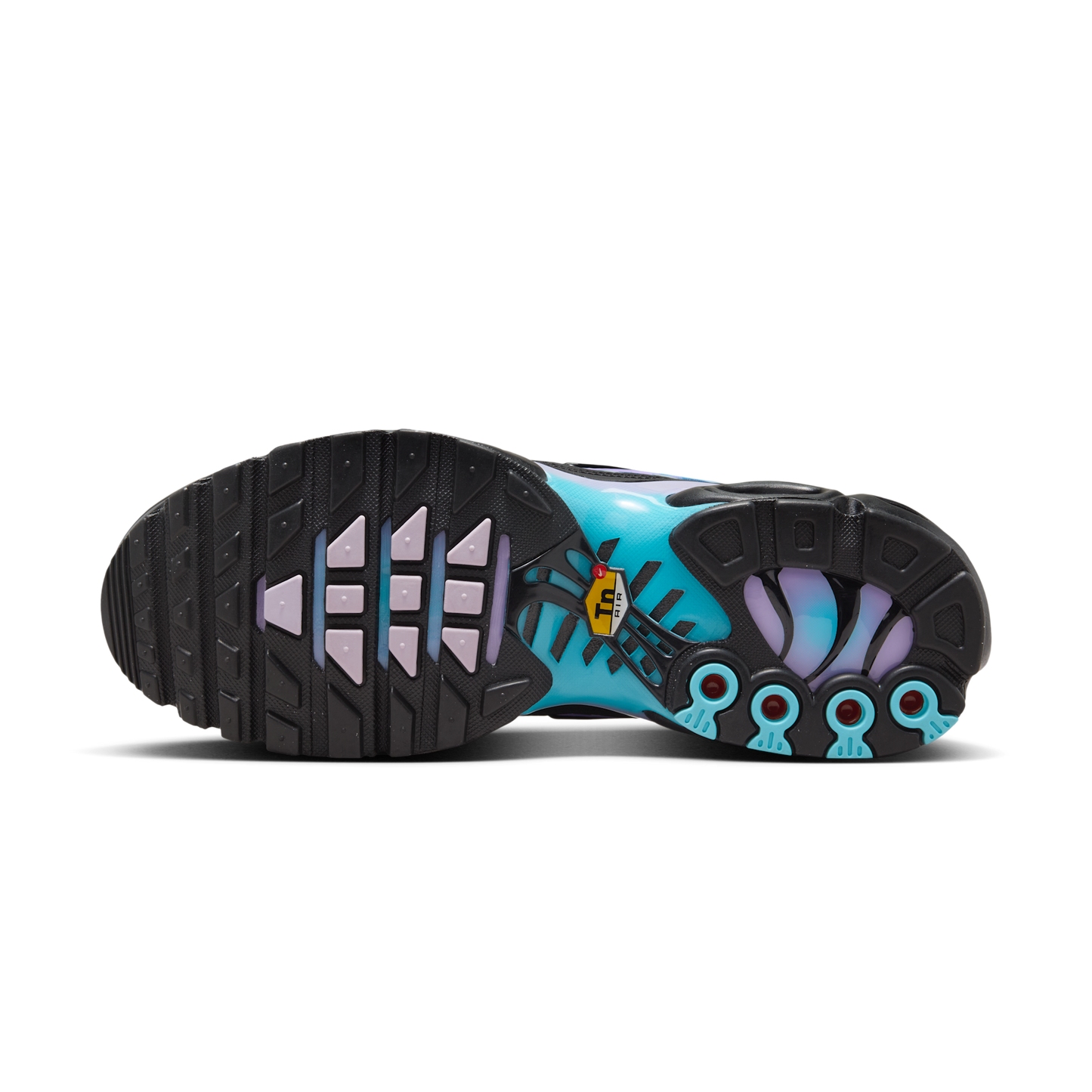 Nike Air Max Plus Black Hydrangeas (Women's)