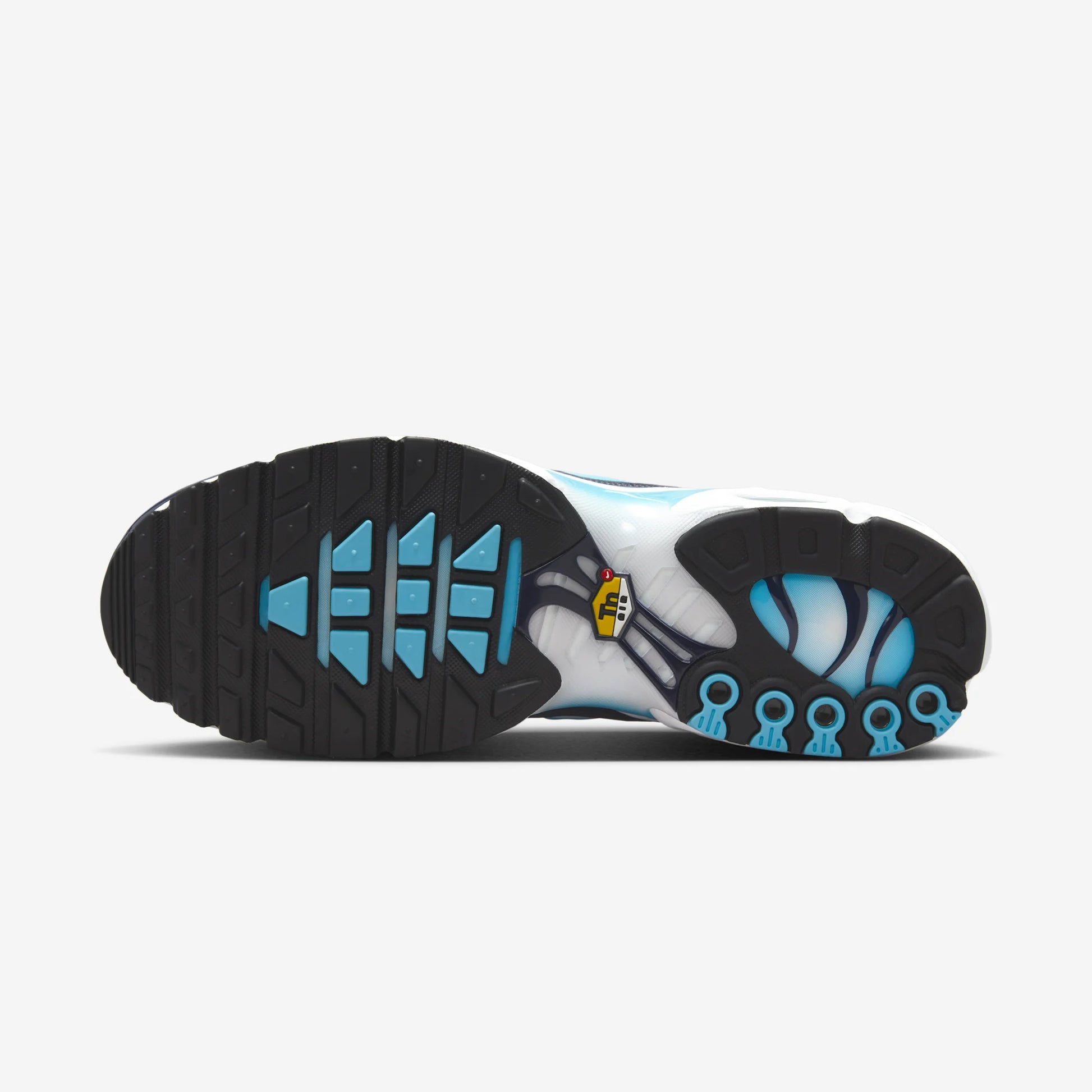 Nike Air Max Plus Dark Obsidian