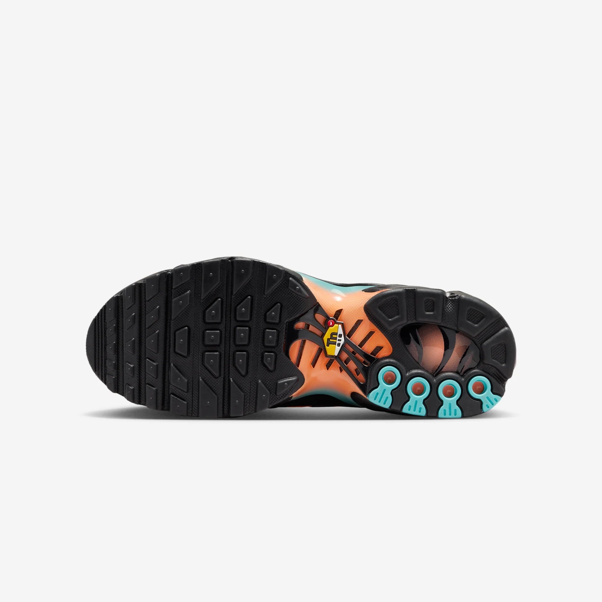 Nike Air Max Plus Aurora Green Orange Pulse (GS)