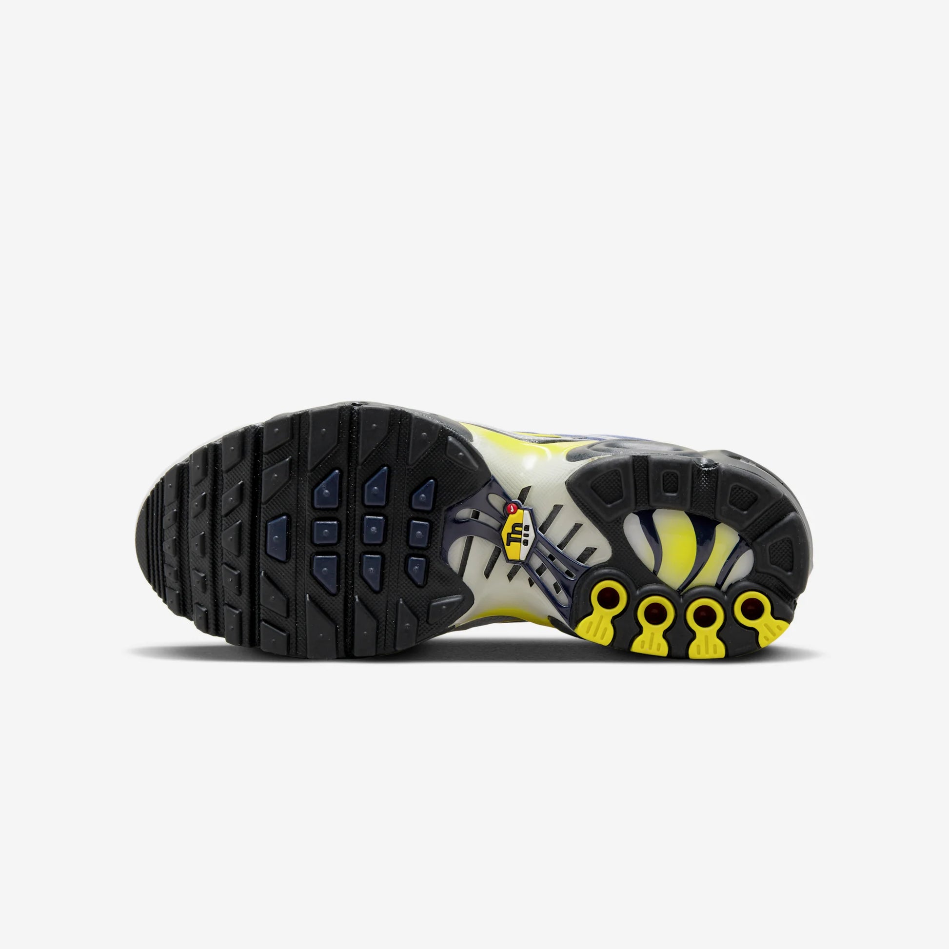Nike Air Max Plus Obsidian Silver (GS)
