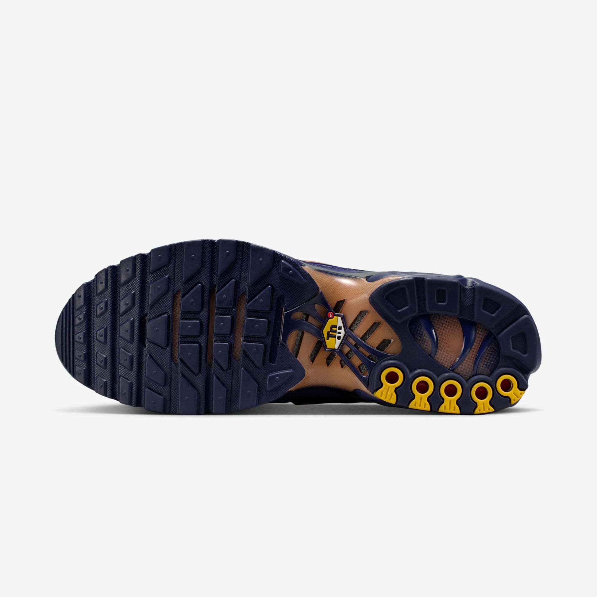 Nike Air Max Plus French Football Federation