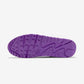 Nike Air Max 90 Color Pack Court Purple