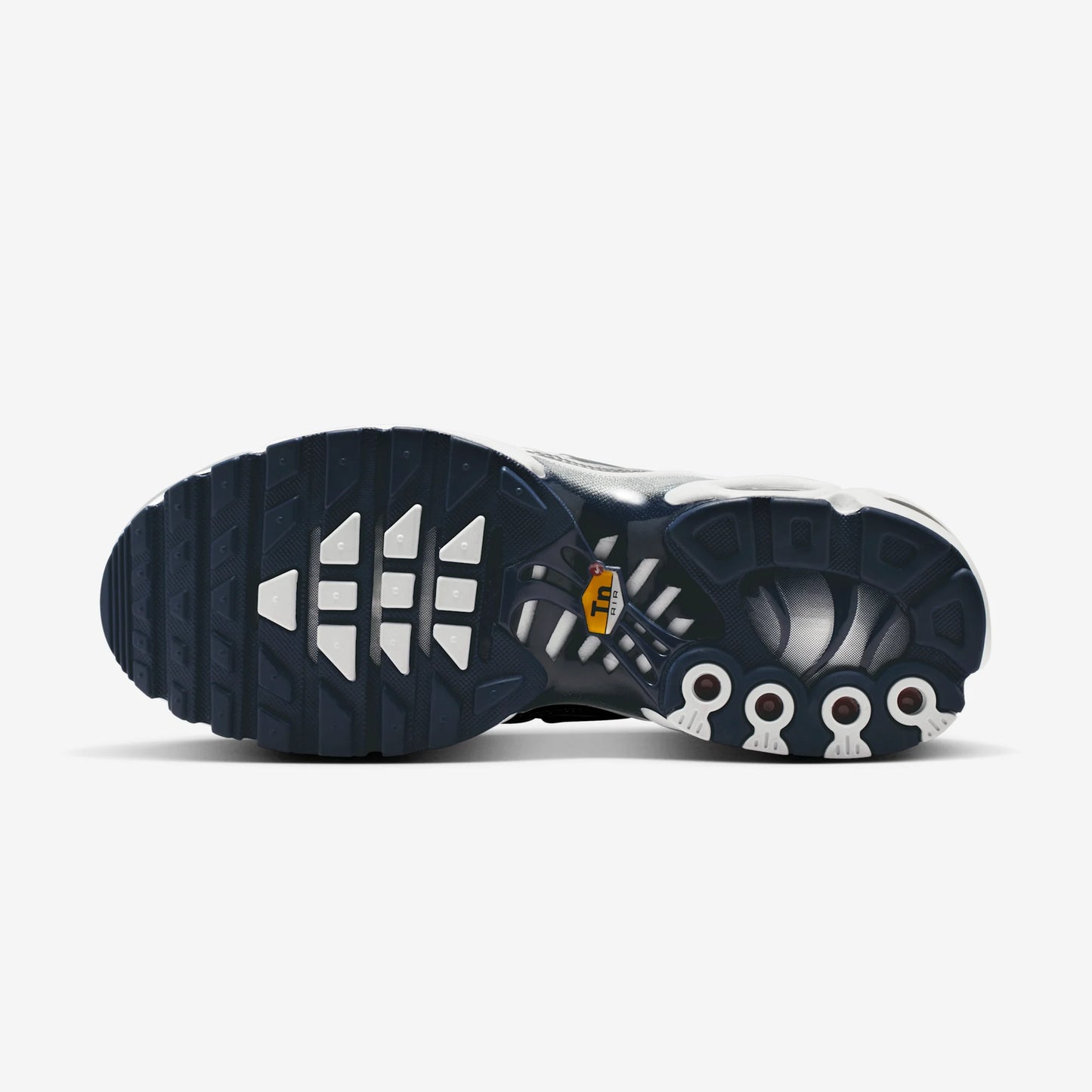 Nike Air Max Plus White Ashen Slate Metallic Silver (Women's)