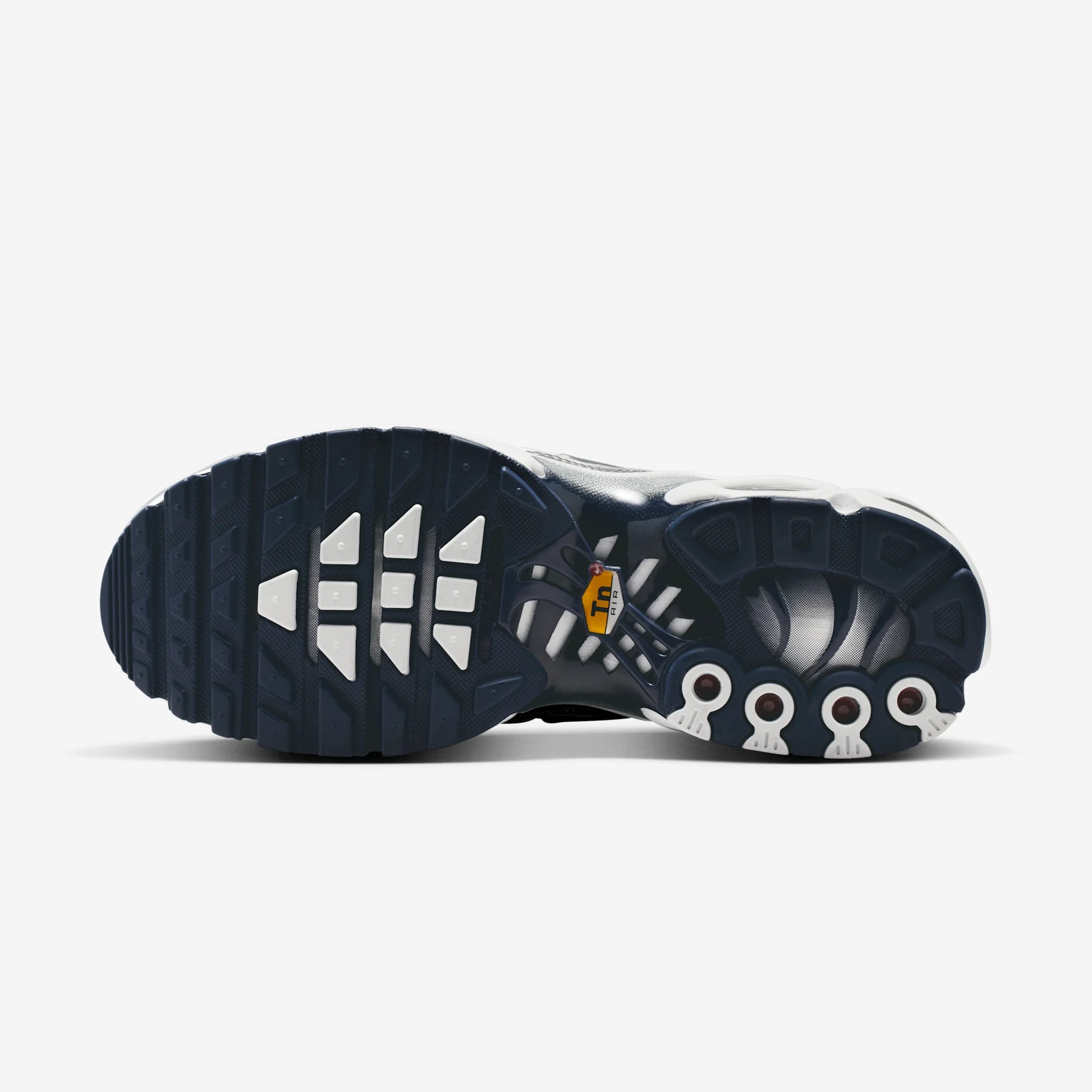 Nike Air Max Plus White Ashen Slate Metallic Silver (Women's)