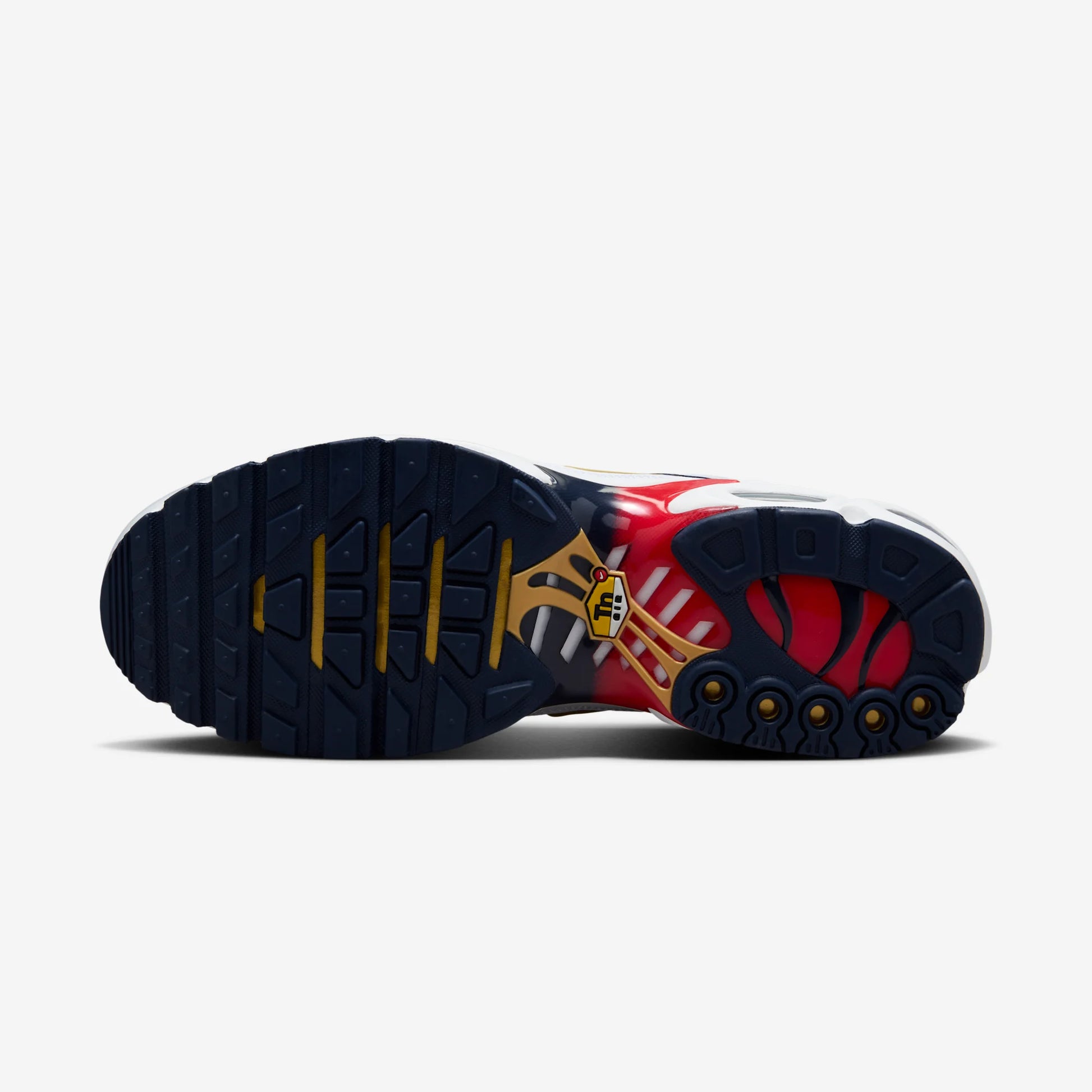 Nike Air Max Plus PSG