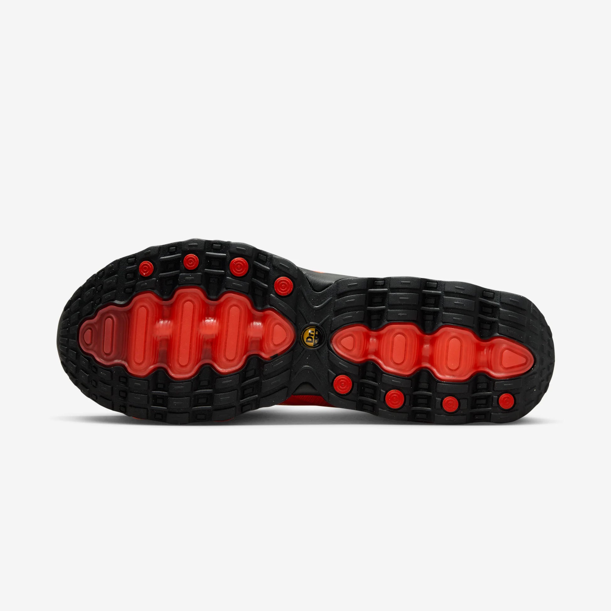 Nike Air Max Dn8 Royal Tint Bright Crimson
