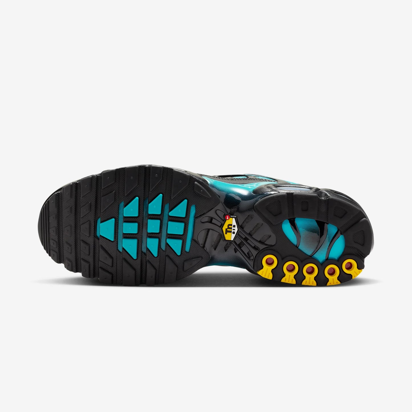 Nike Air Max Plus Black Dusty Cactus