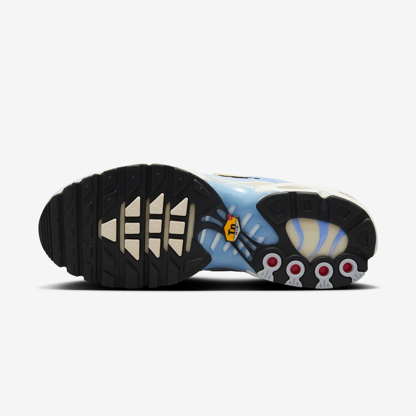 Nike Air Max Plus Daybreak (Women's)