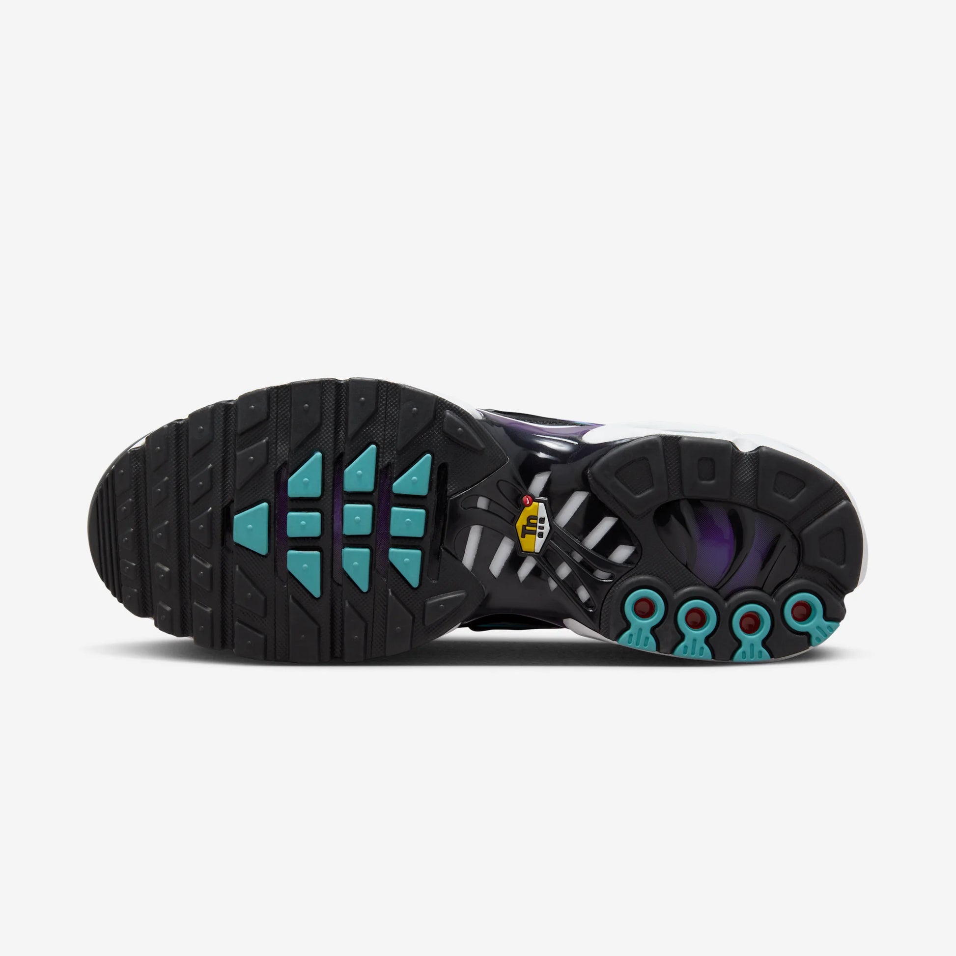 Nike Air Max Plus Reverse Grape