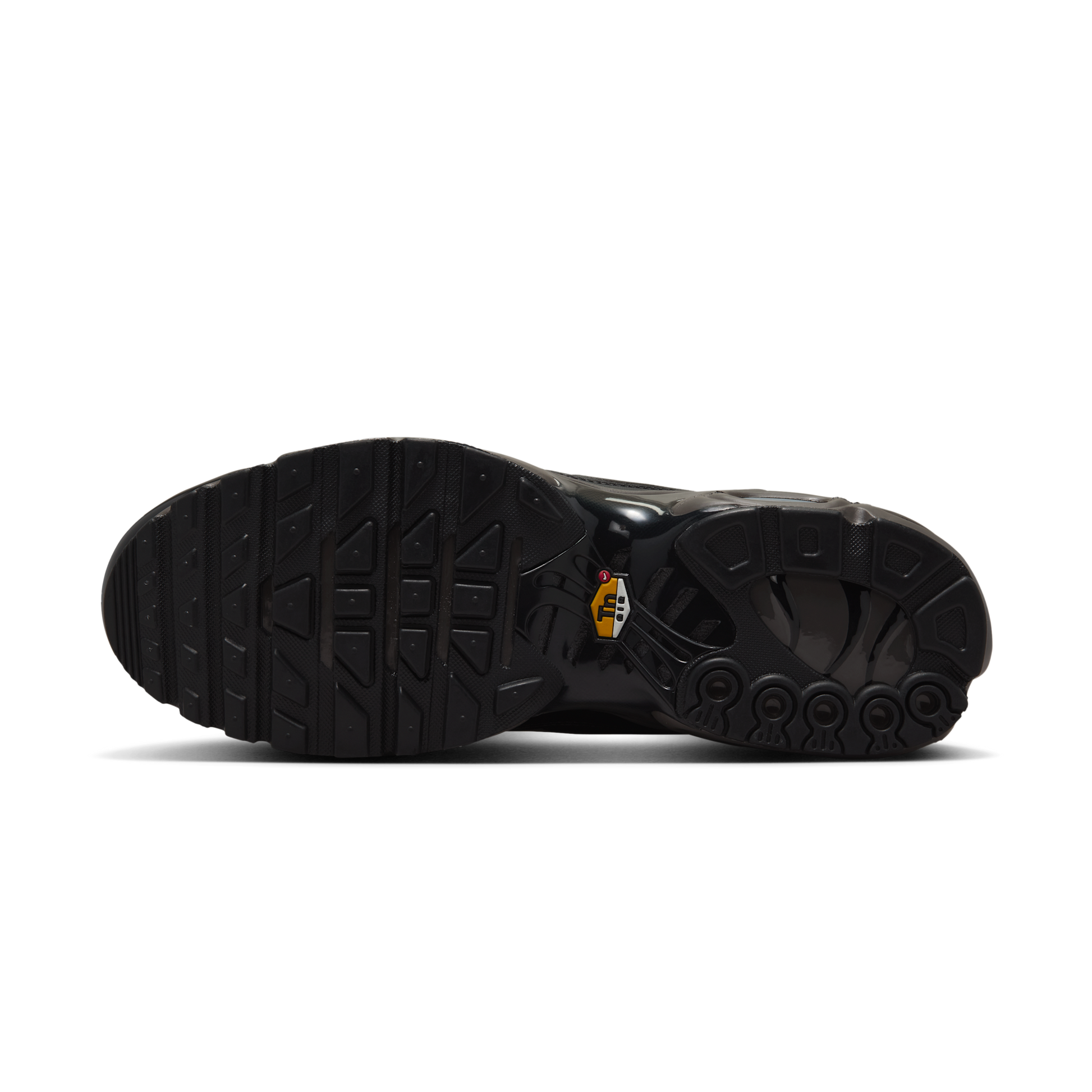 Nike Air Max Plus Premium Paris