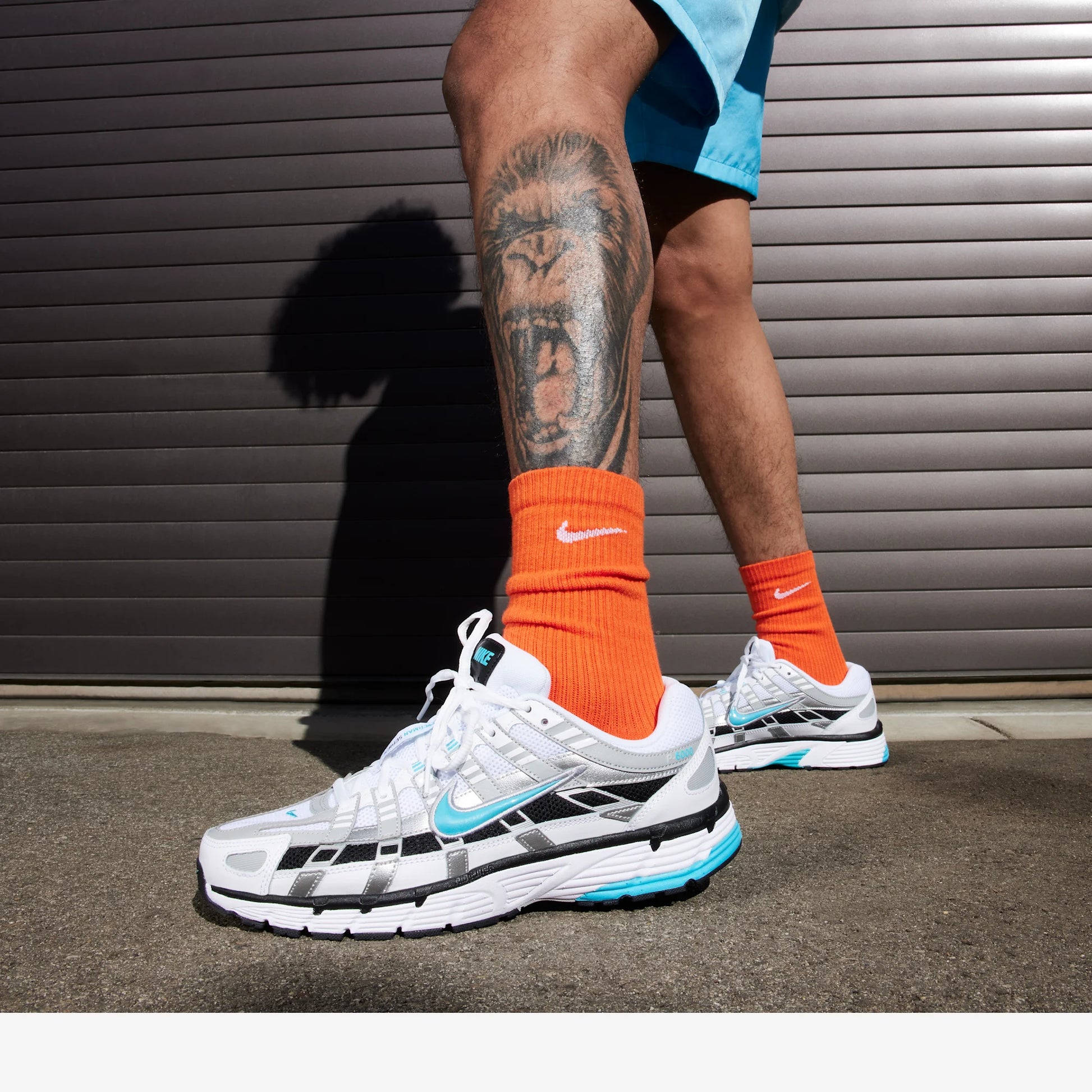Nike P-6000 Dusty Cactus