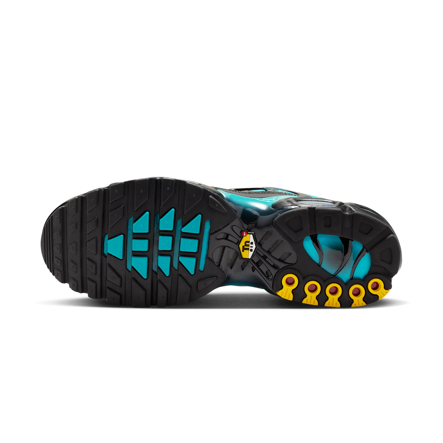 Nike Air Max Plus Black Dusty Cactus