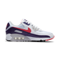 Nike Air Max 90 Eggplant (Women's)