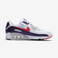 Nike Air Max 90 Eggplant (Women's)