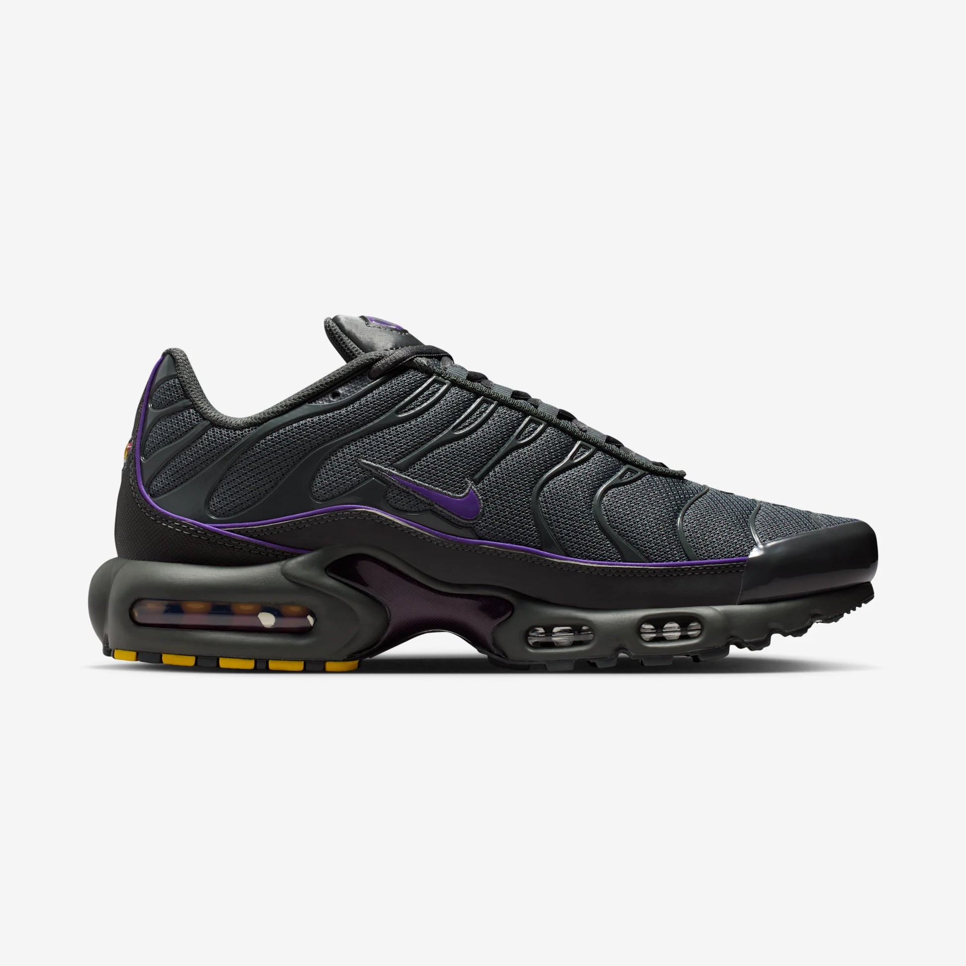 Nike Air Max Plus OG Iron Grey Wild Grape
