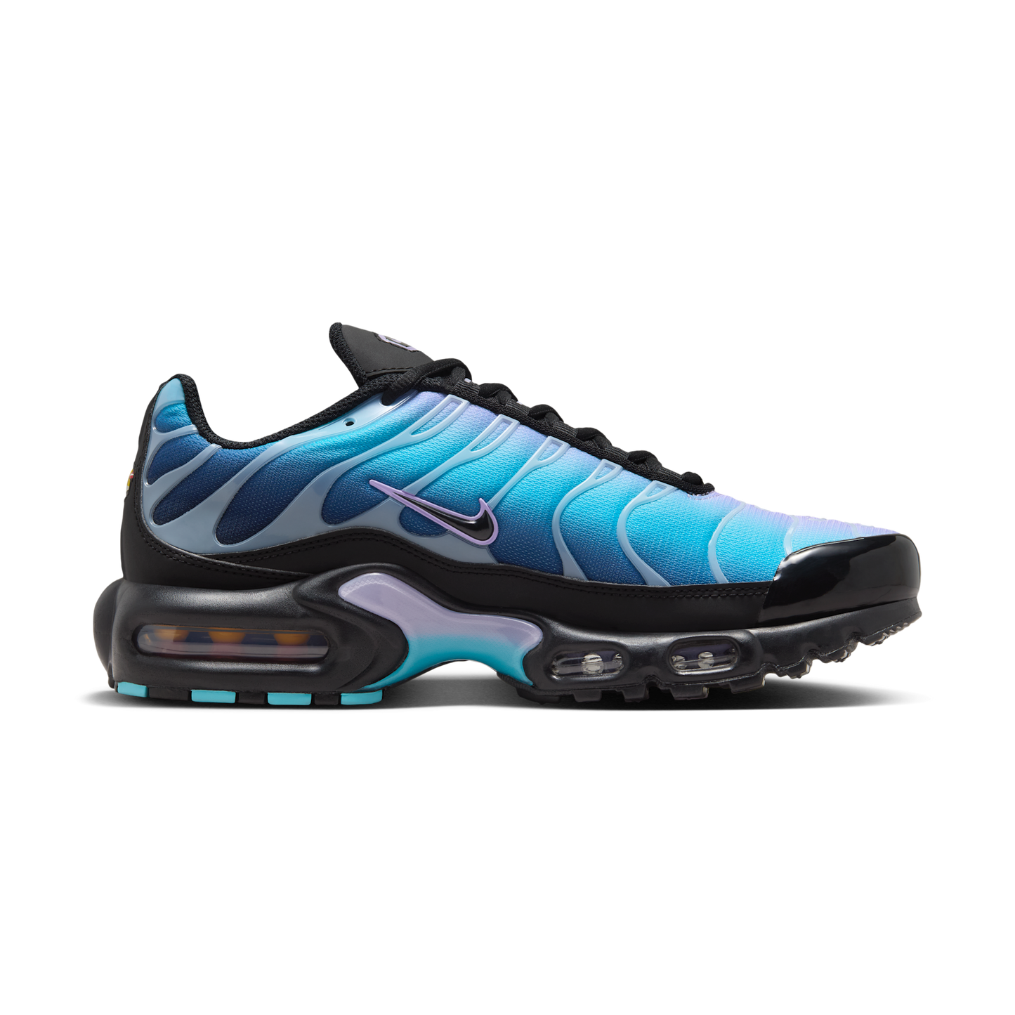 Nike Air Max Plus Black Hydrangeas (Women's)