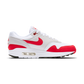 Nike Air Max 1 Anniversary Red (2017/2018 Restock Pair)