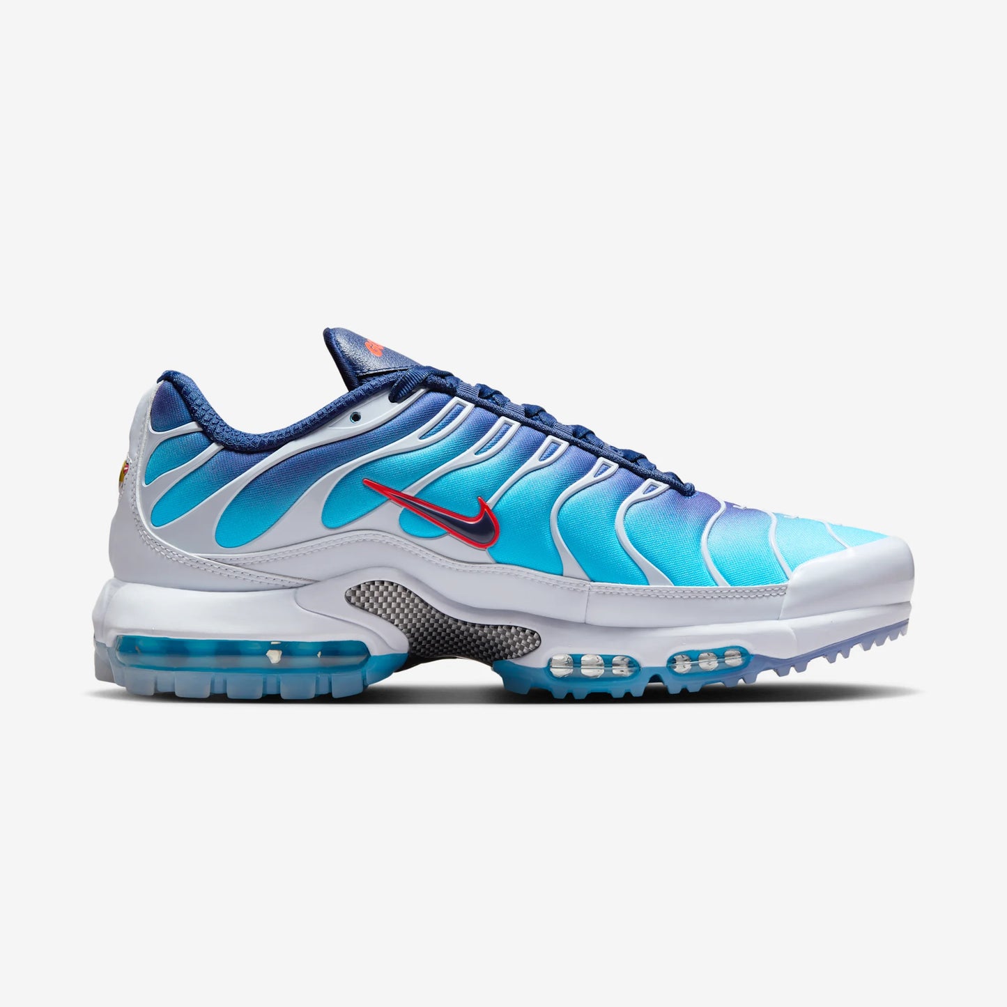 Nike Air Max Plus Golf PGA Championship