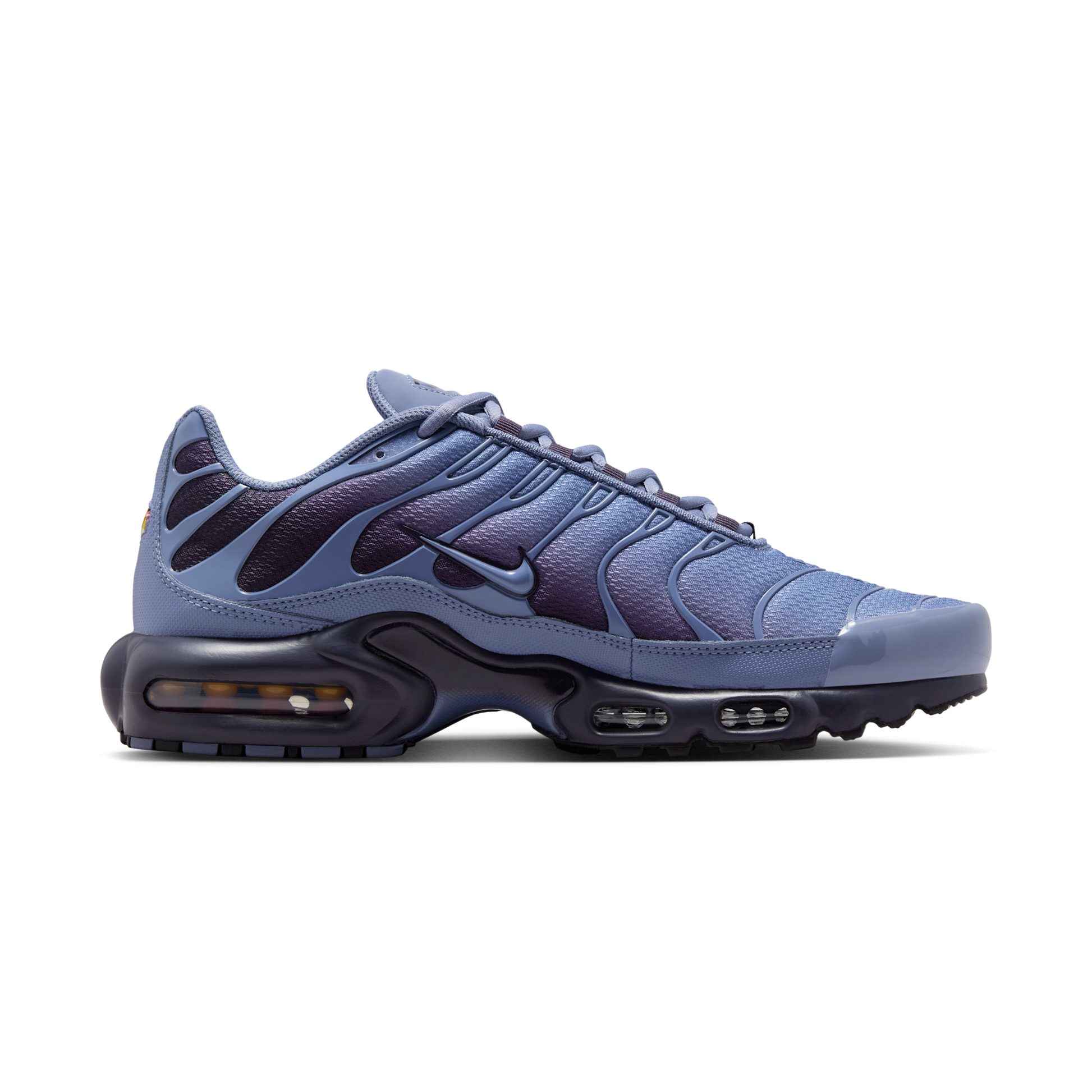 Nike Air Max Plus World Indigo