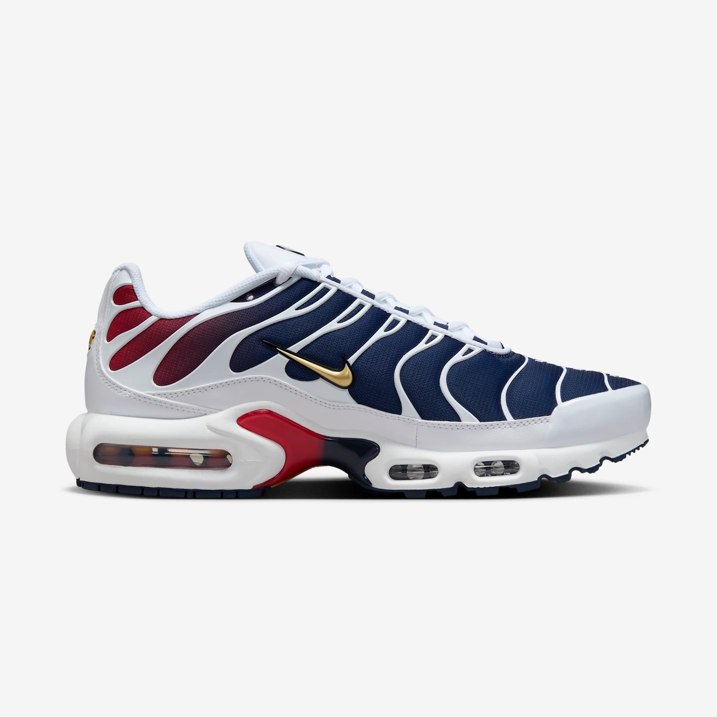 Nike Air Max Plus PSG