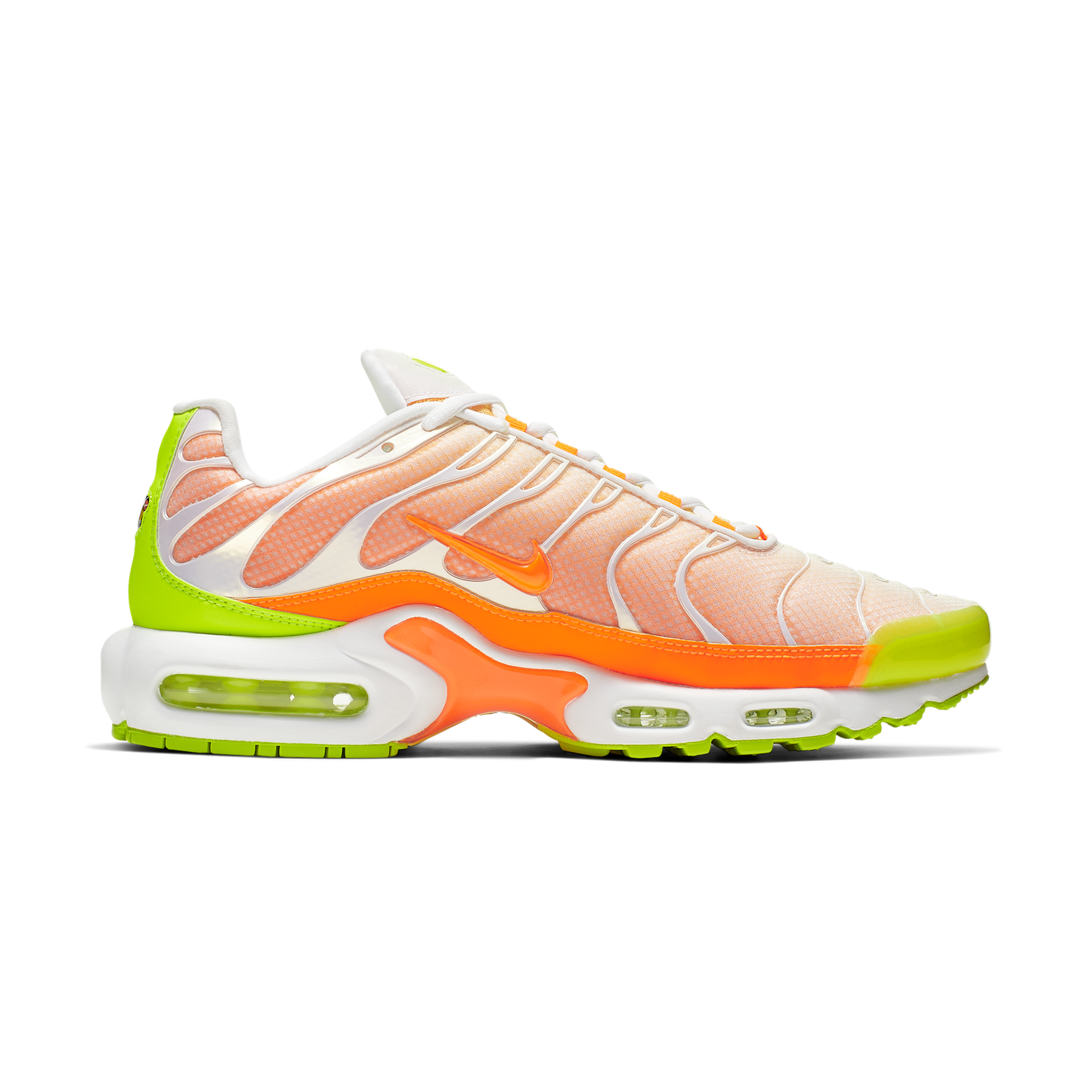 Nike Air Max Plus Color Flip Pack Grape
