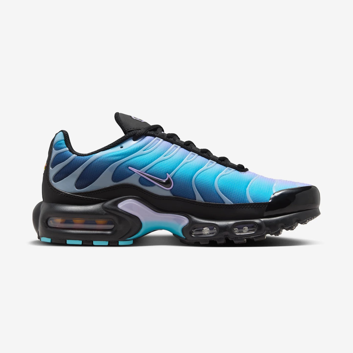 Nike Air Max Plus Black Hydrangeas (Women's)