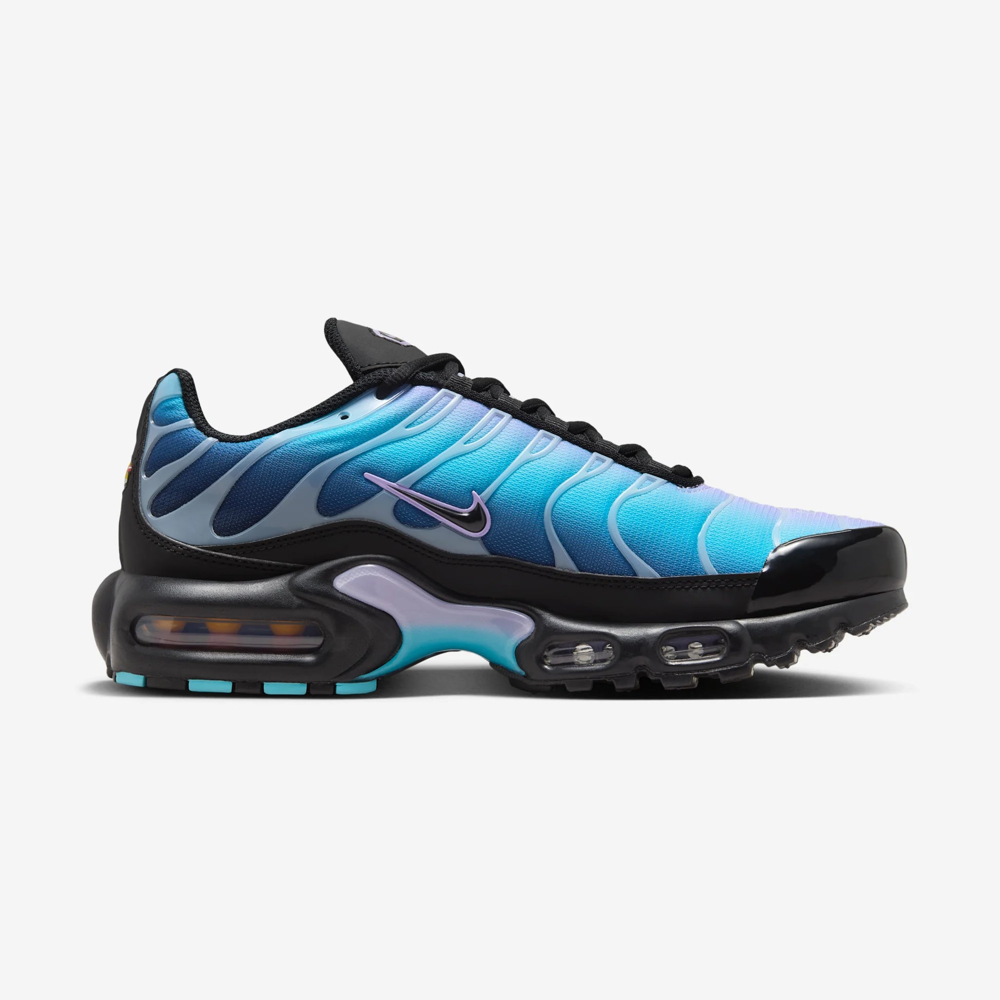 Nike Air Max Plus Black Hydrangeas (Women's)