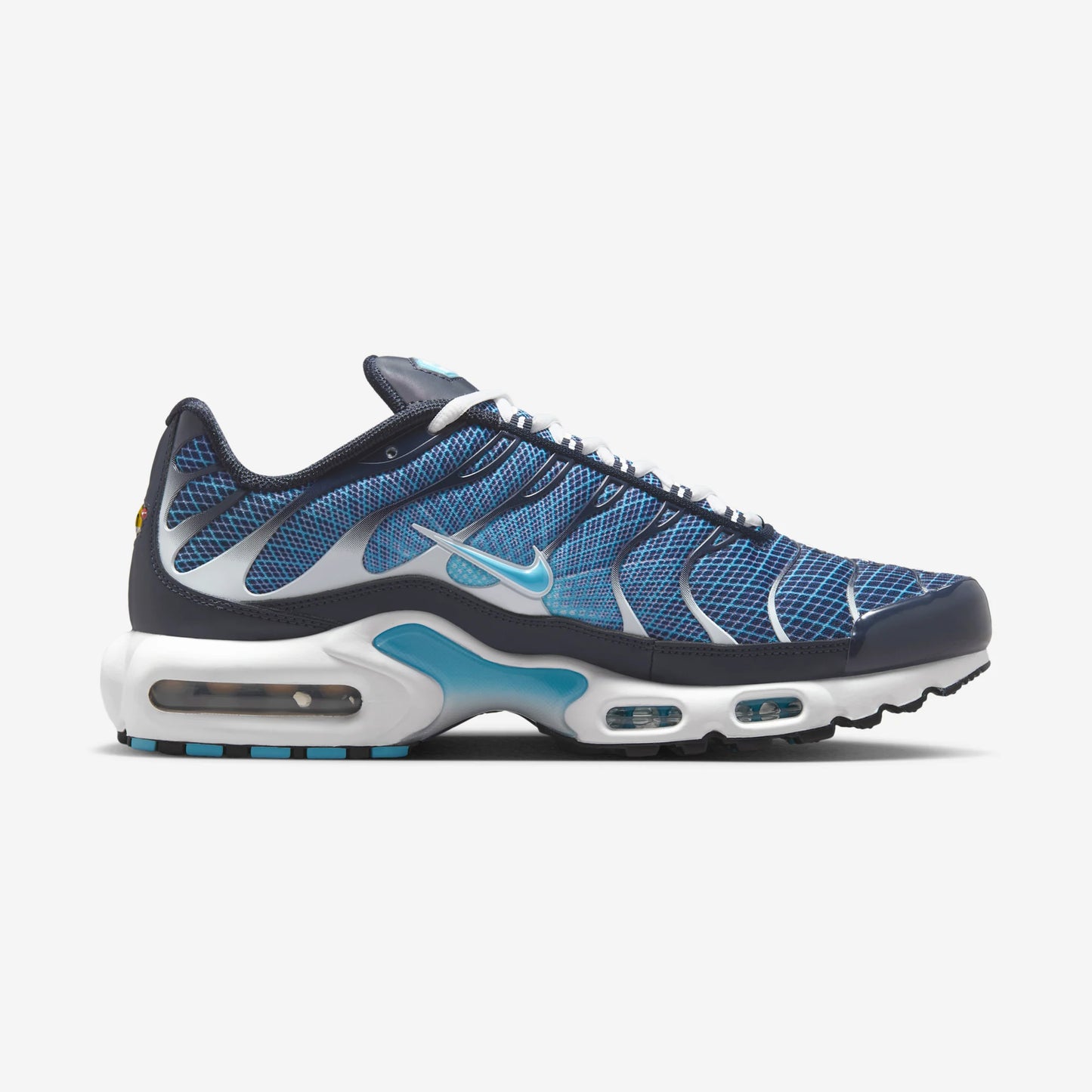 Nike Air Max Plus Dark Obsidian