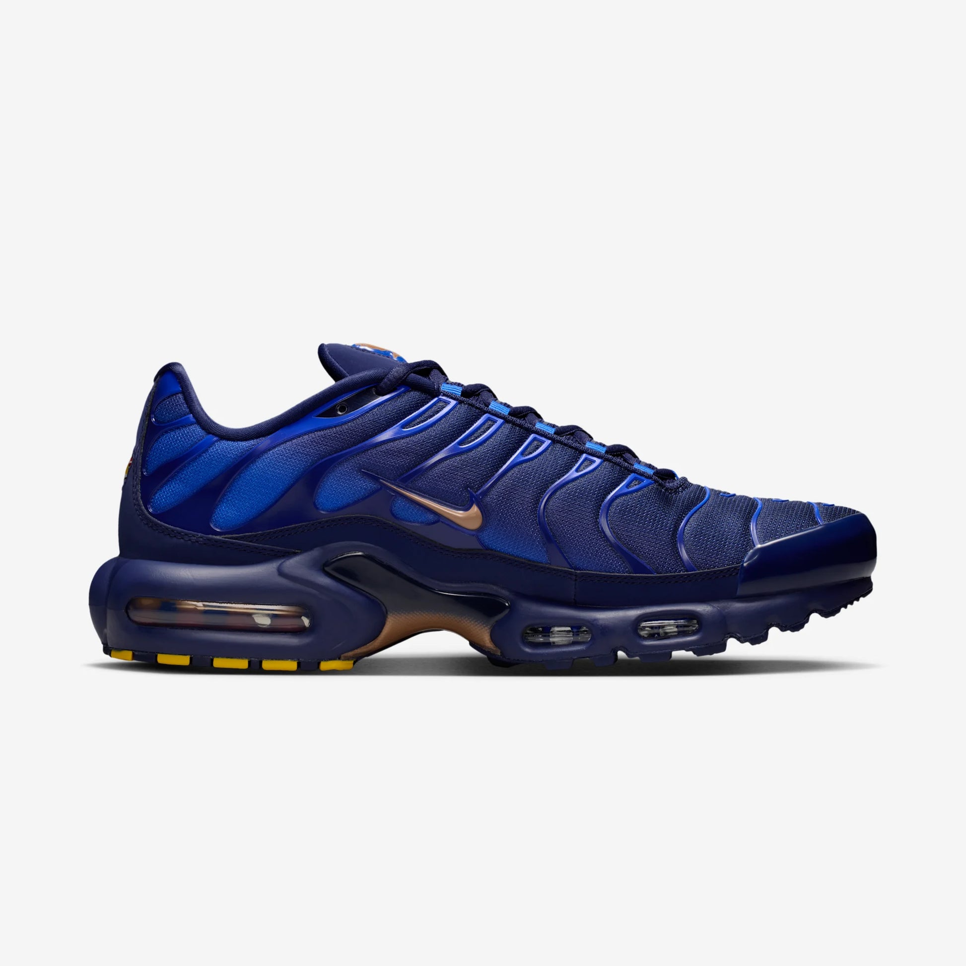 Nike Air Max Plus French Football Federation