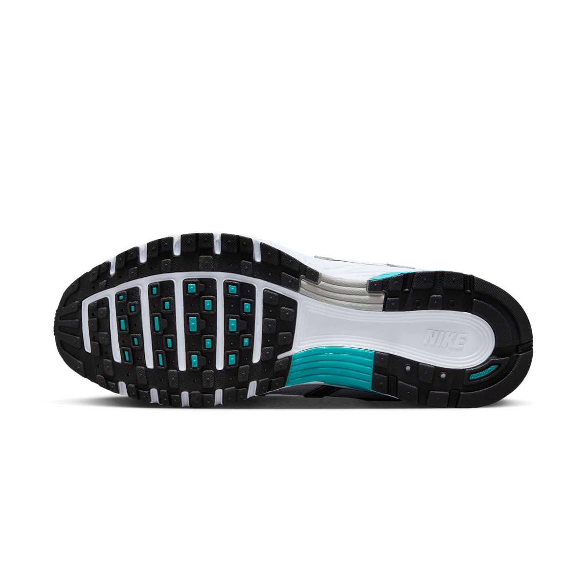 Nike P-6000 Dusty Cactus
