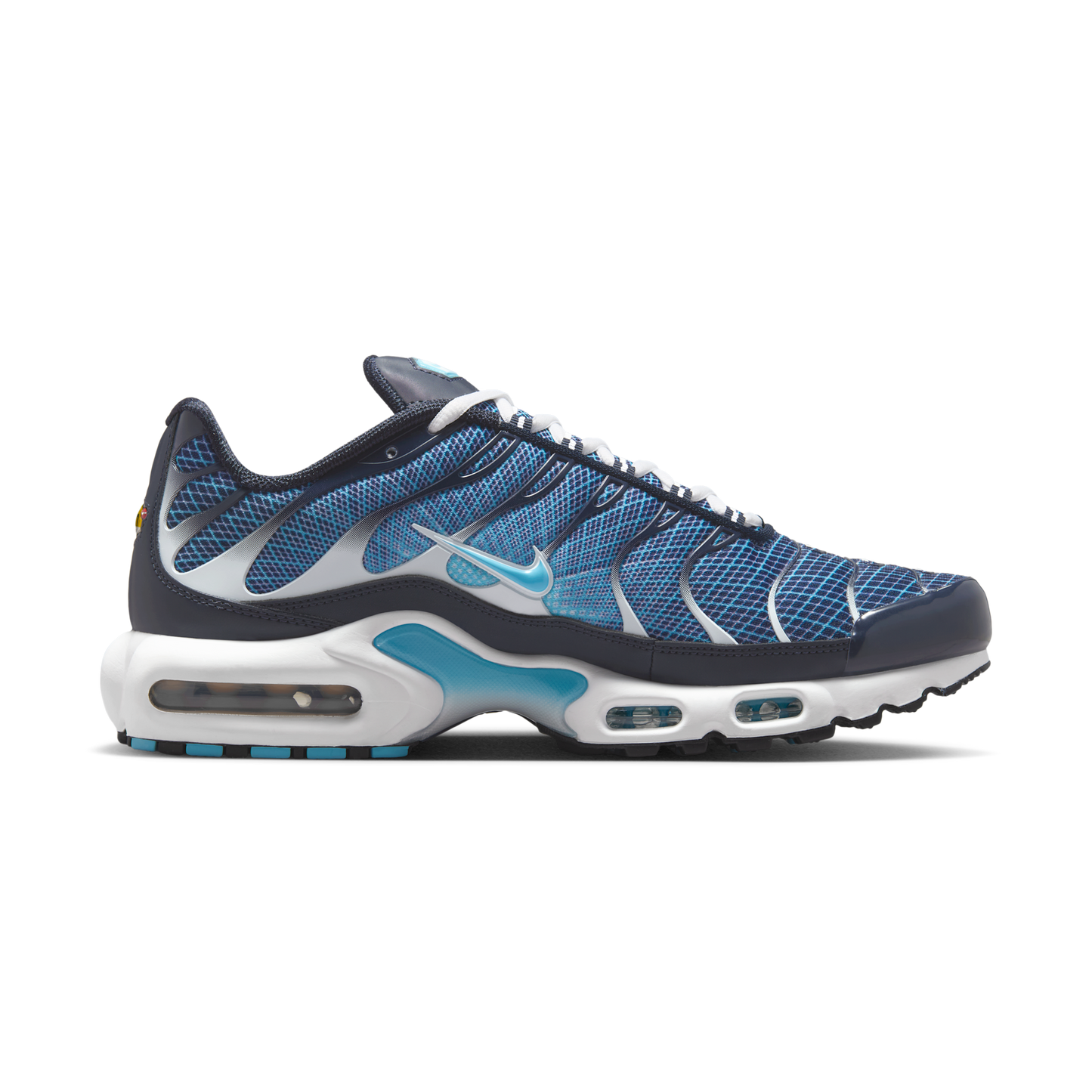 Nike Air Max Plus Dark Obsidian