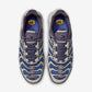 Nike Air Max Plus Drift Concord