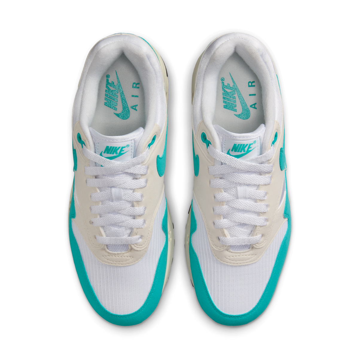 Nike Air Max 1 Dusty Cactus (Women's)