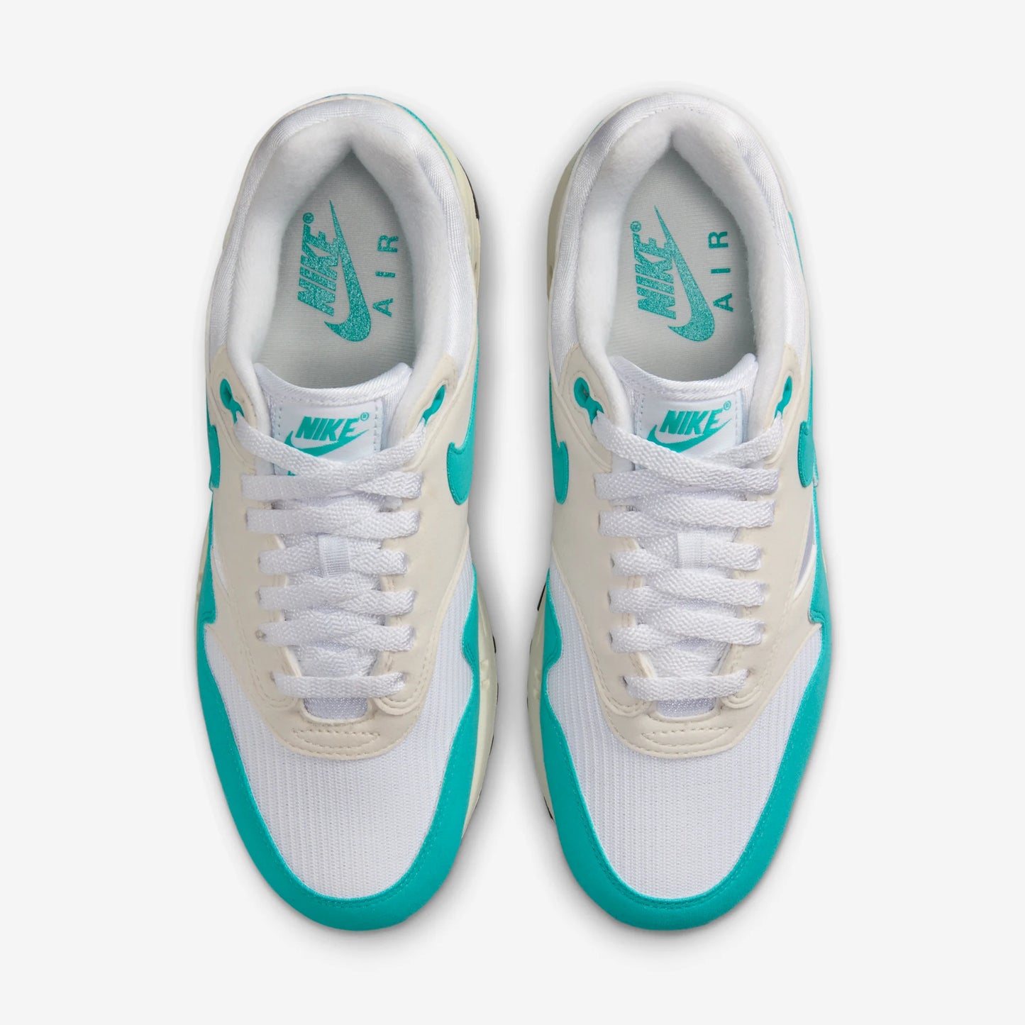 Nike Air Max 1 Dusty Cactus (Women's)