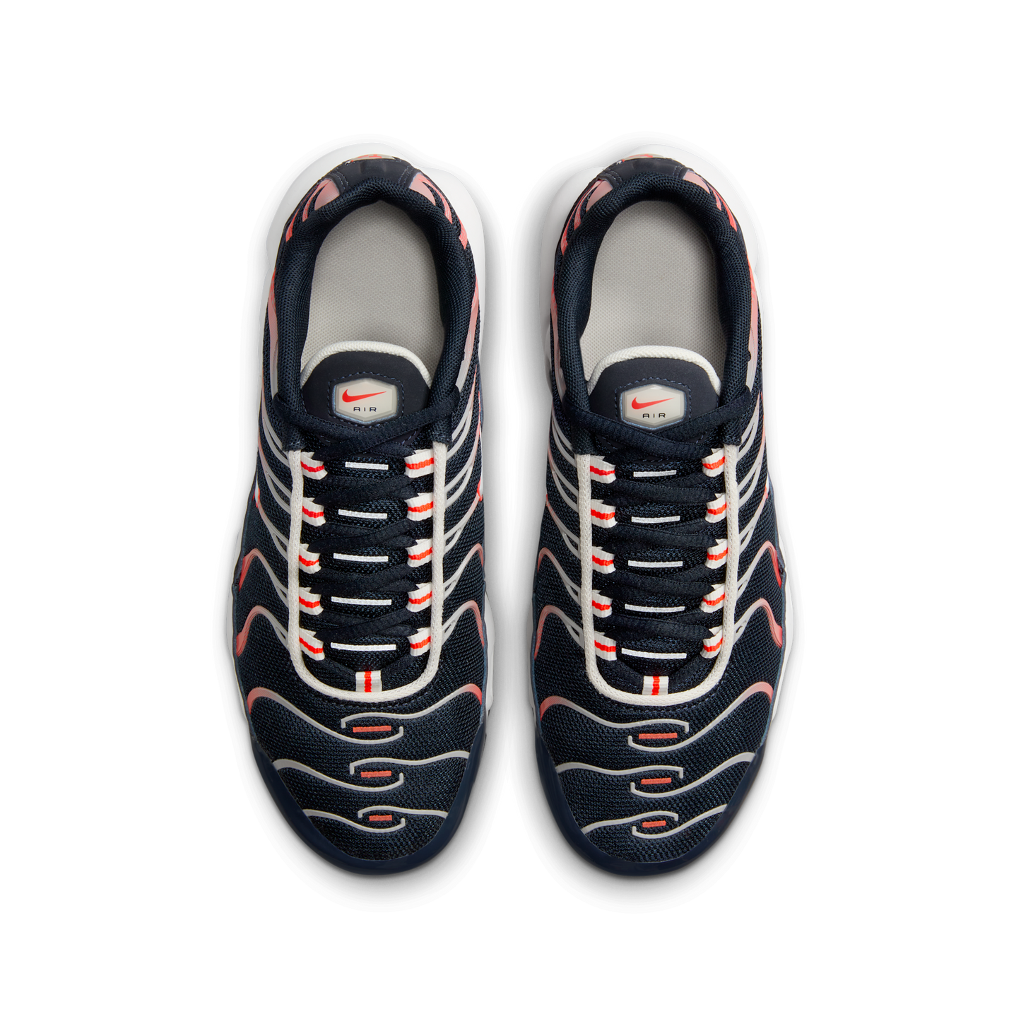 Nike Air Max Plus Dark Obsidian Bright Crimson (GS)