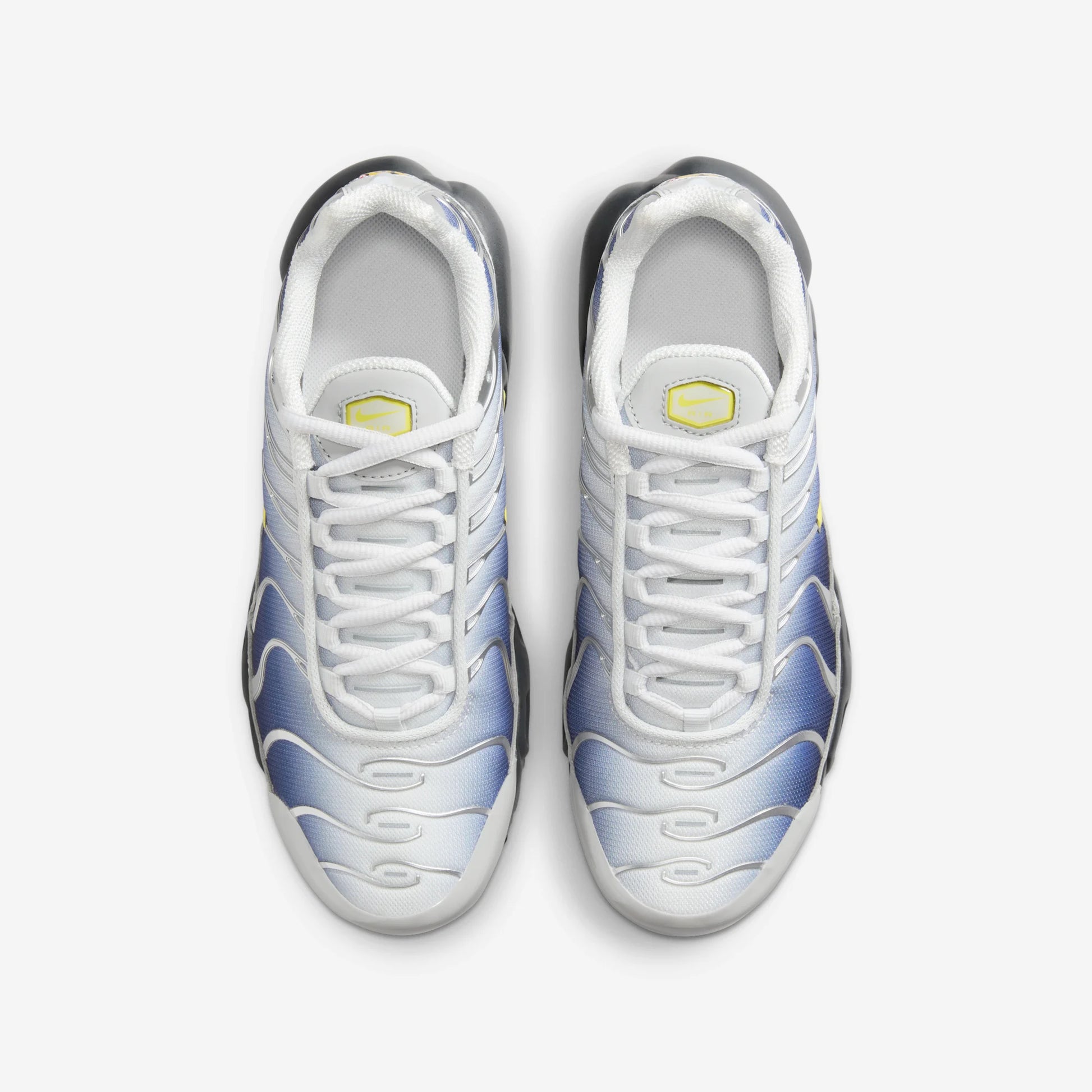 Nike Air Max Plus Obsidian Silver (GS)