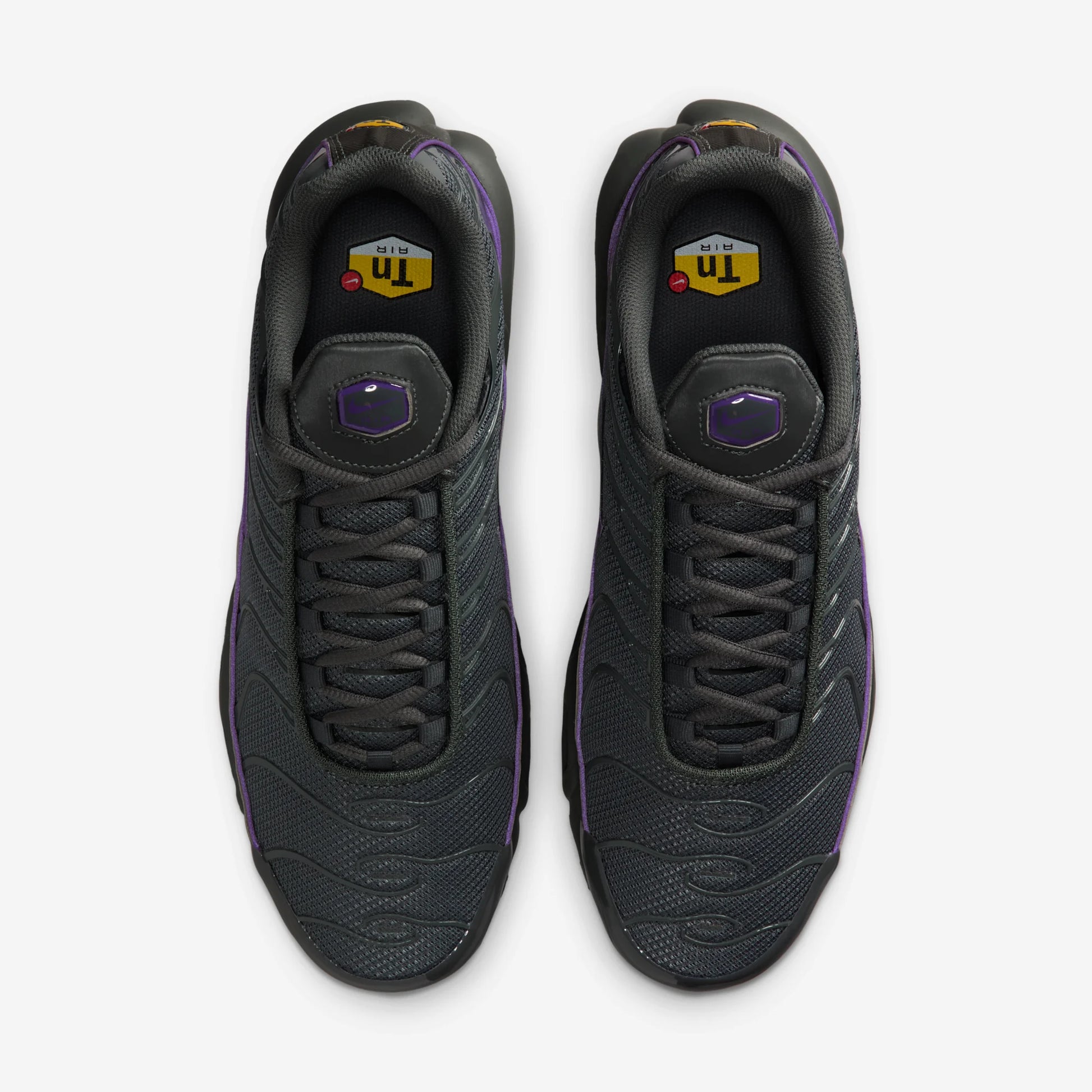 Nike Air Max Plus OG Iron Grey Wild Grape