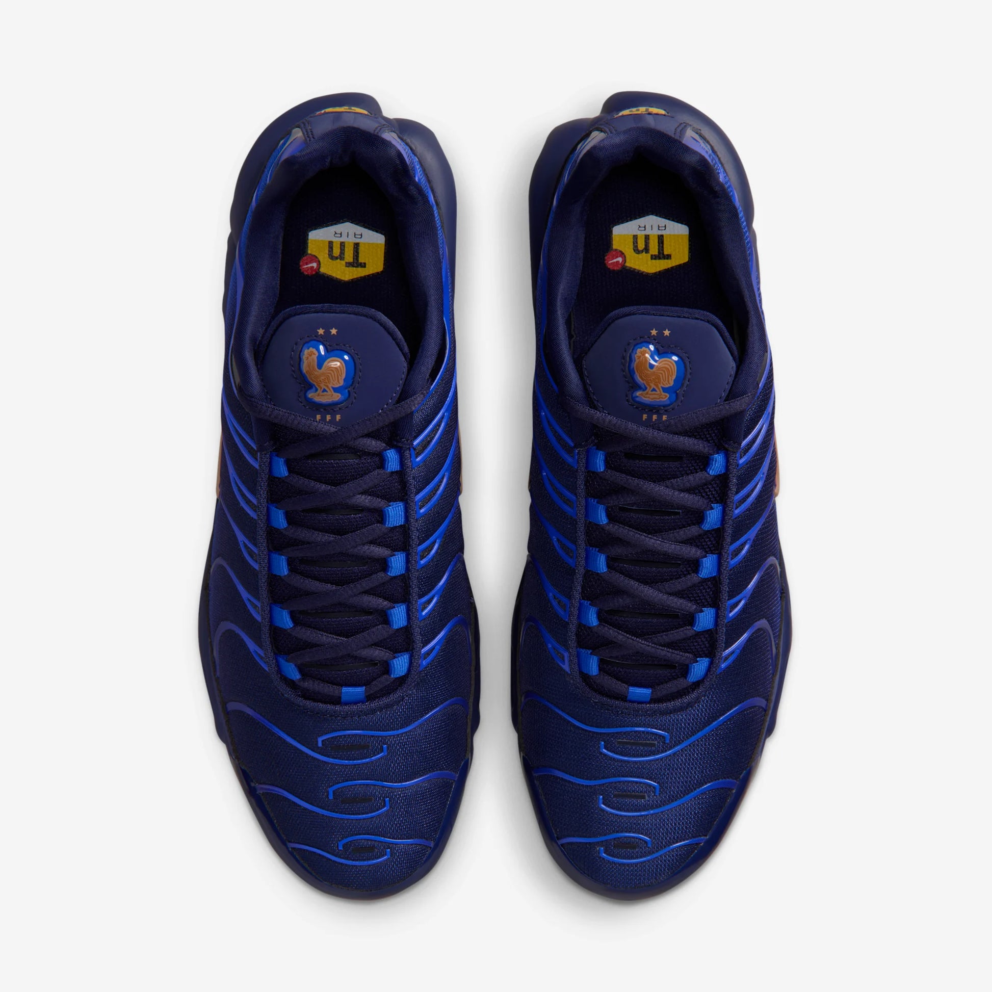 Nike Air Max Plus French Football Federation