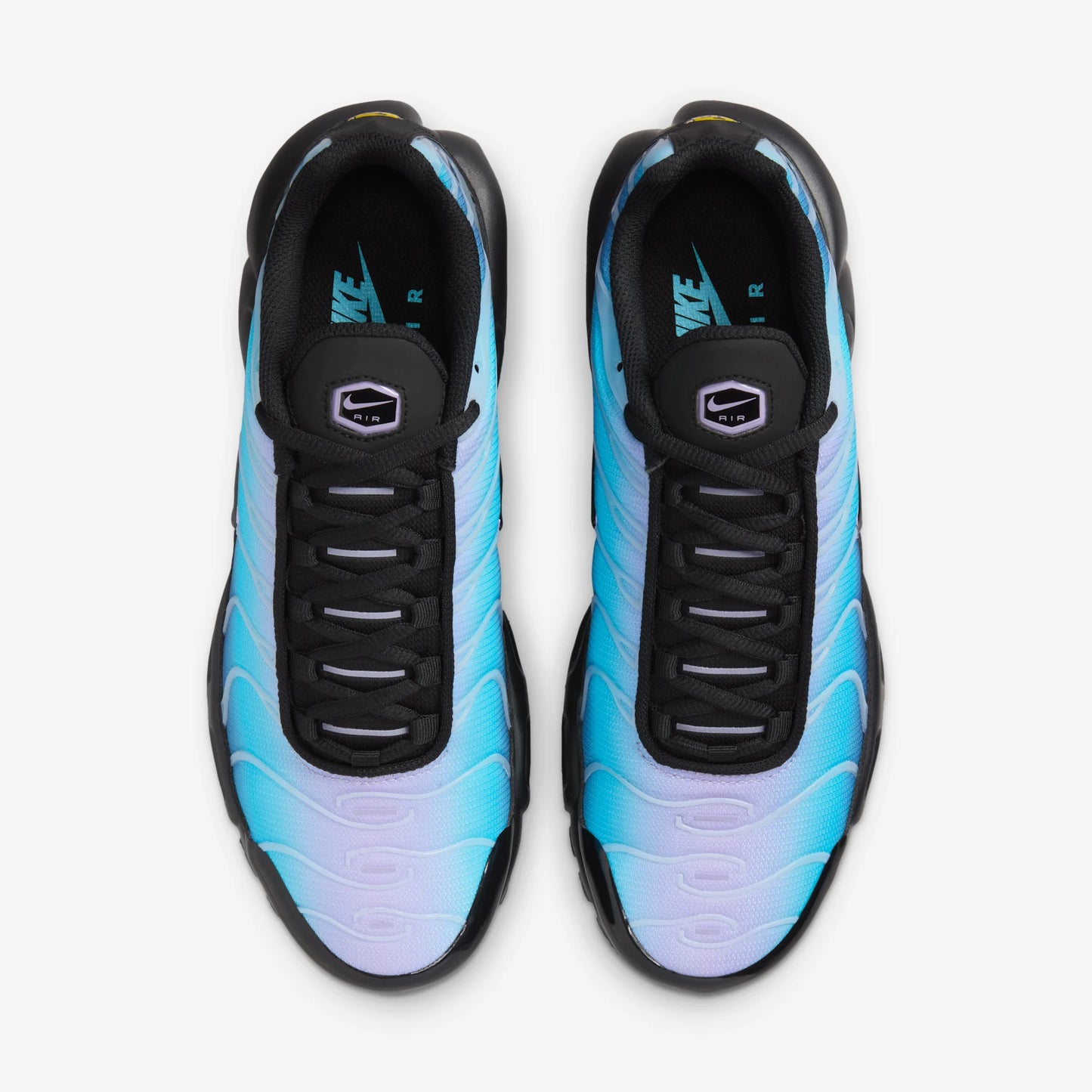 Nike Air Max Plus Black Hydrangeas (Women's)