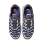 Nike Air Max Plus Drift Concord
