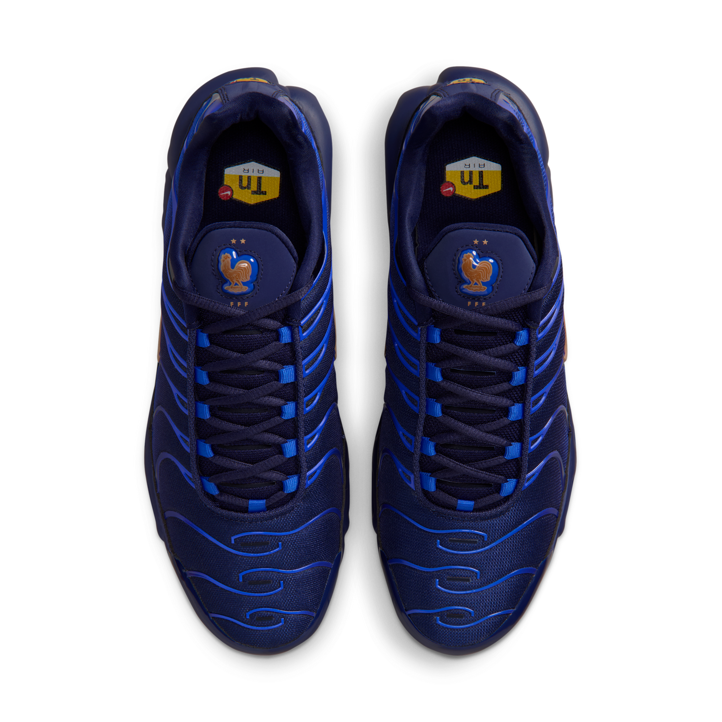 Nike Air Max Plus French Football Federation