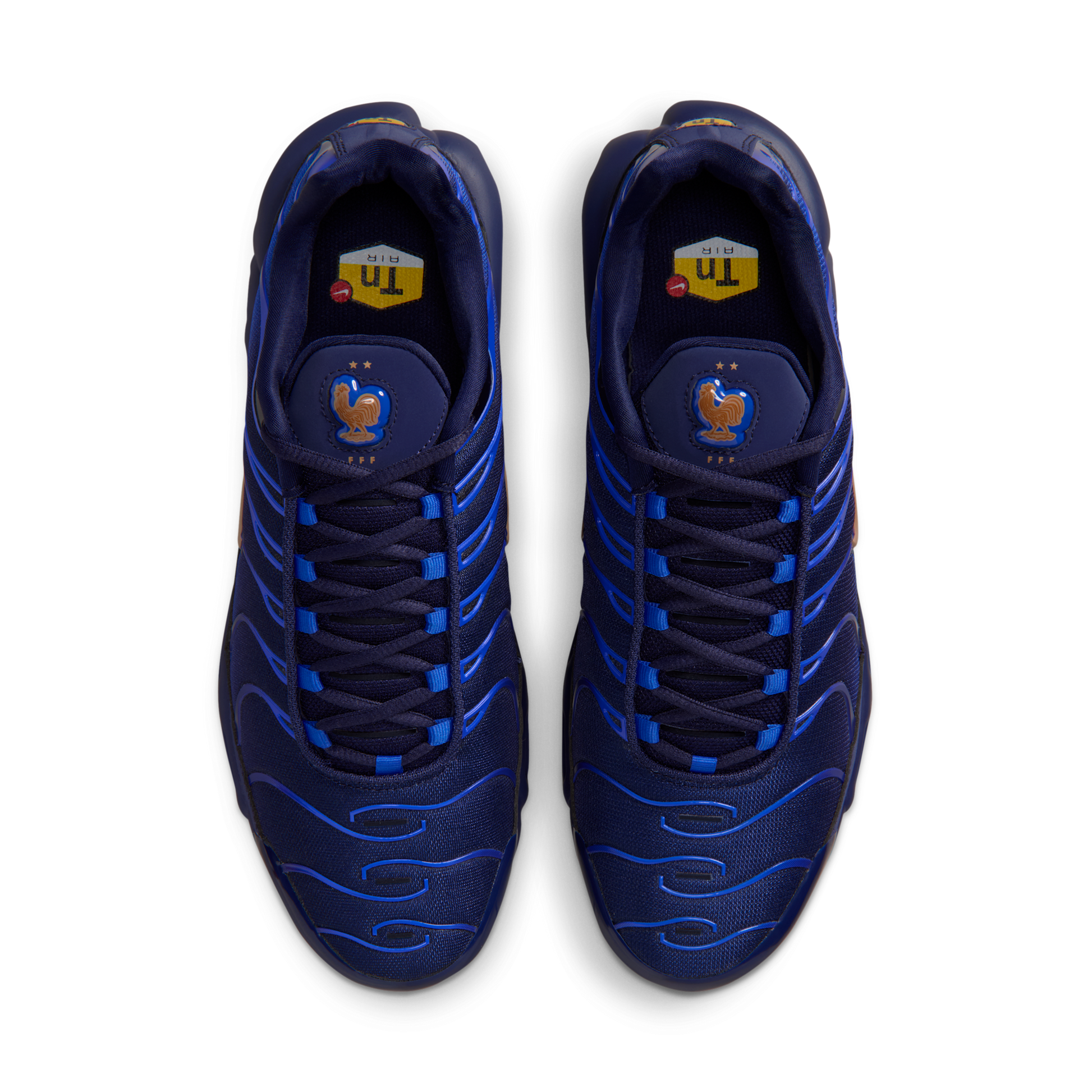 Nike Air Max Plus French Football Federation