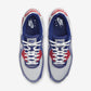 Nike Air Max 90 Pirate Radio