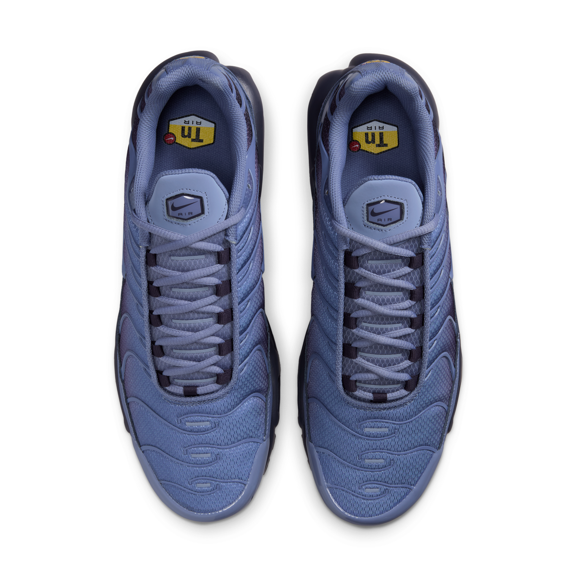Nike Air Max Plus World Indigo