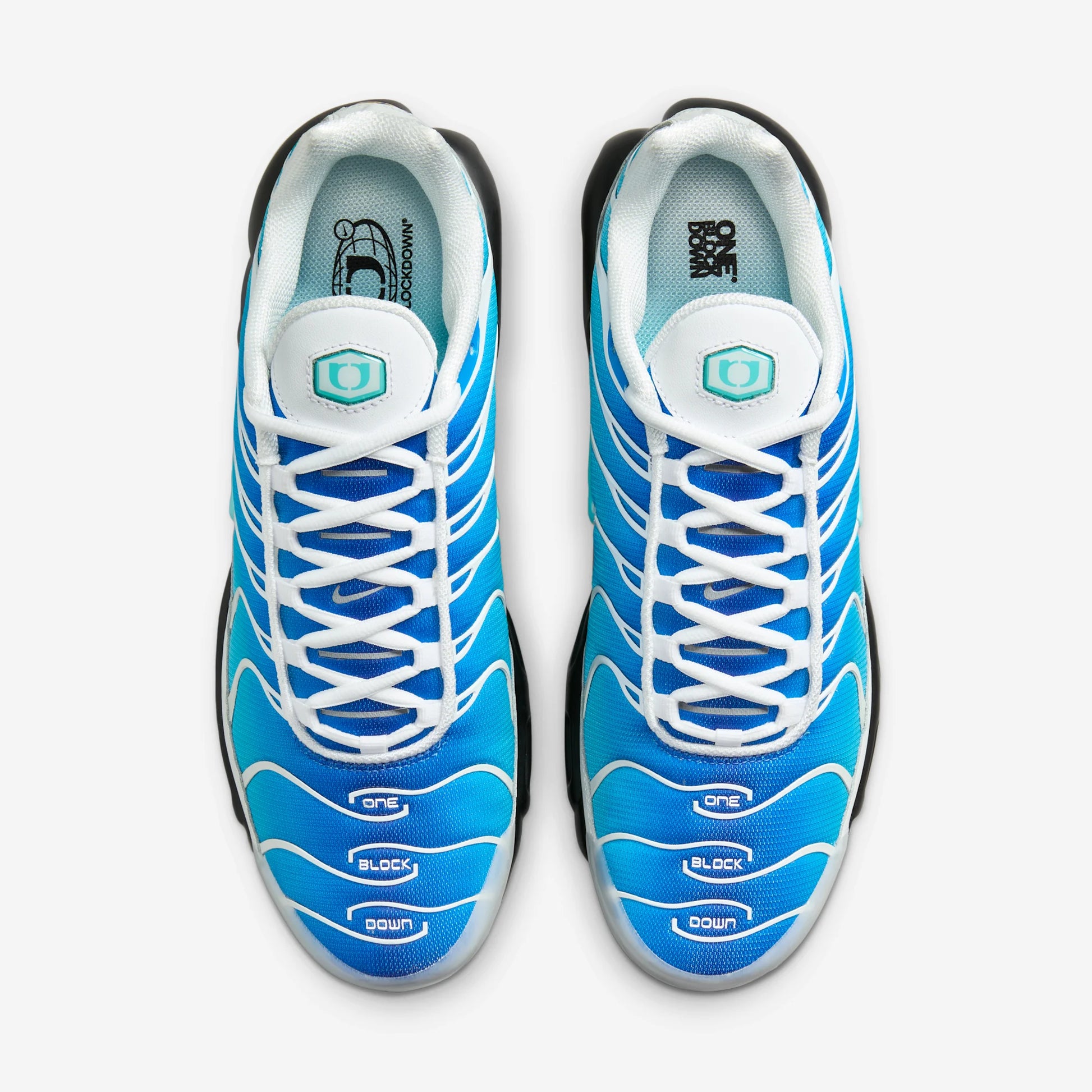 Nike Air Max Plus One Block Down Light Photo Blue