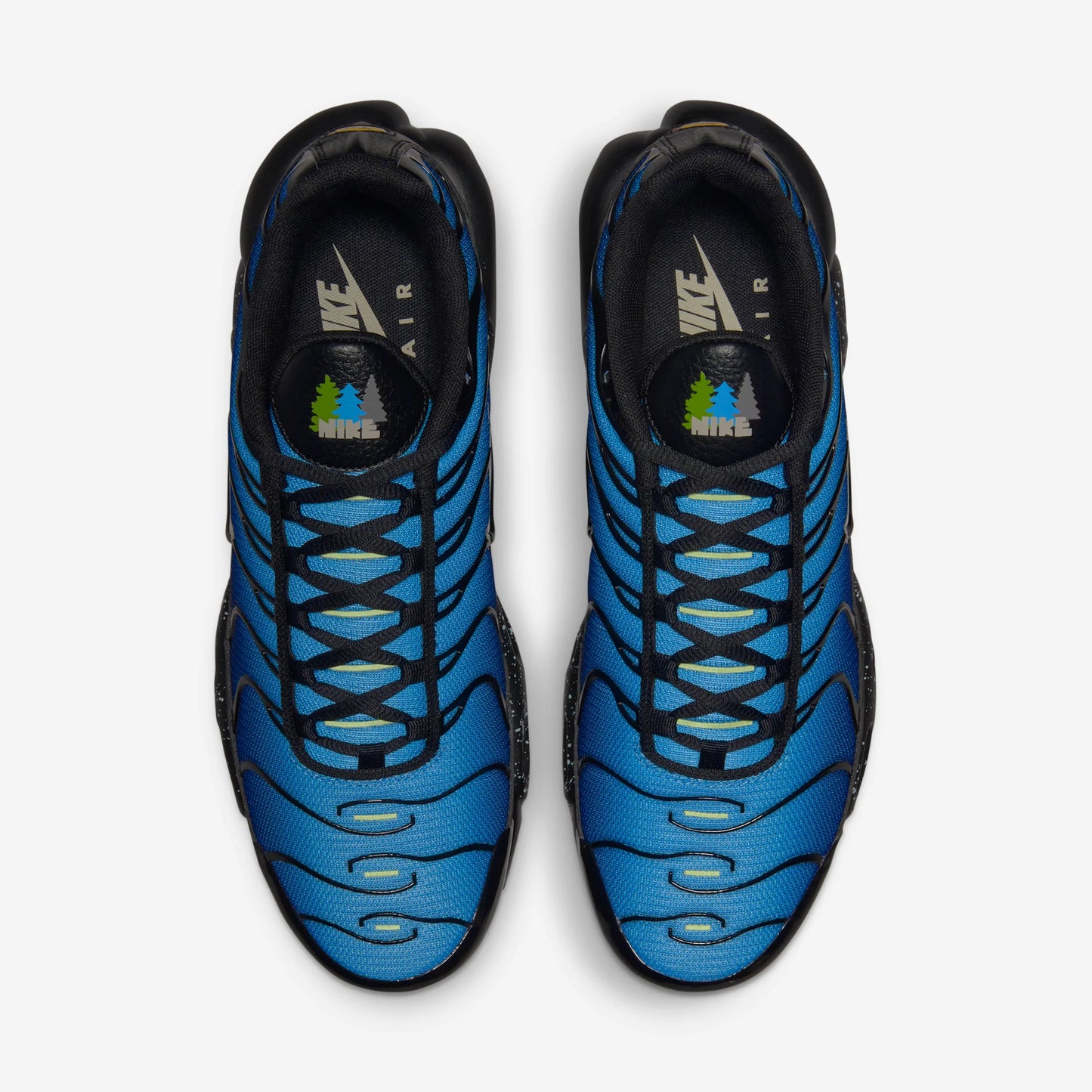 Nike Air Max Plus Black University Blue