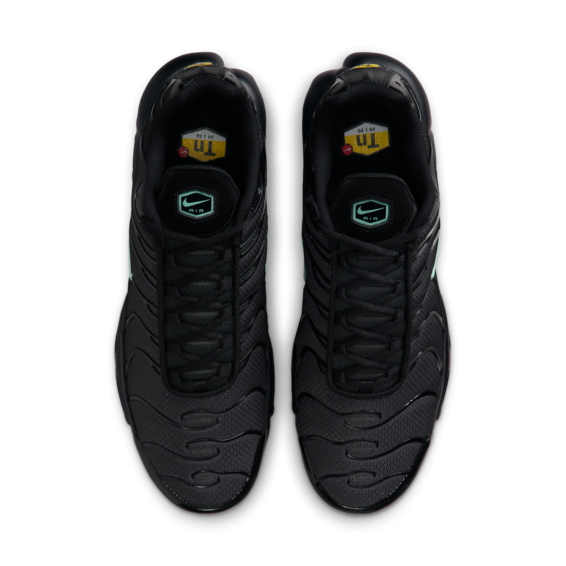 Nike Air Max Plus Black Mint Green